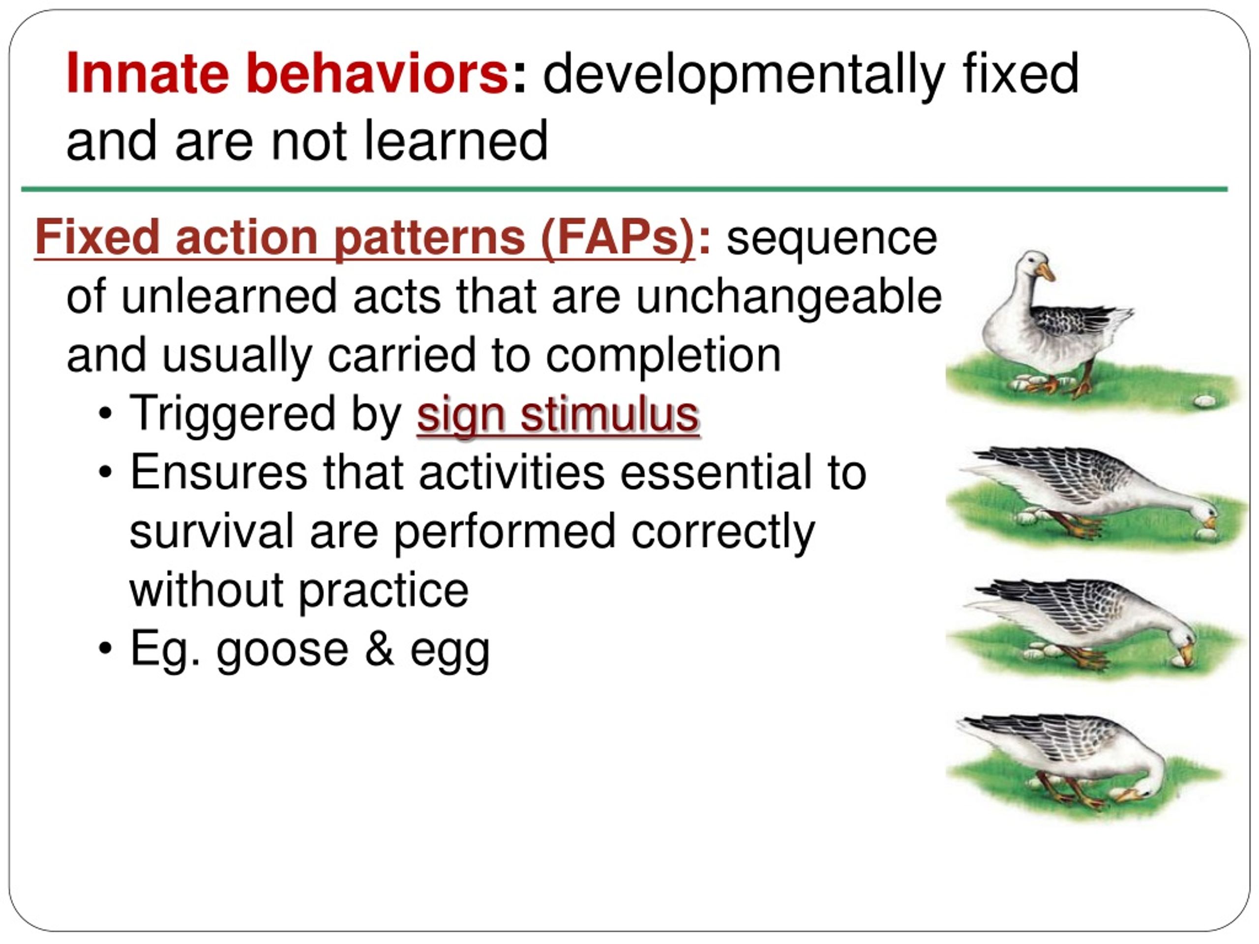 PPT Ch. 40 Review PowerPoint Presentation, free download ID500730