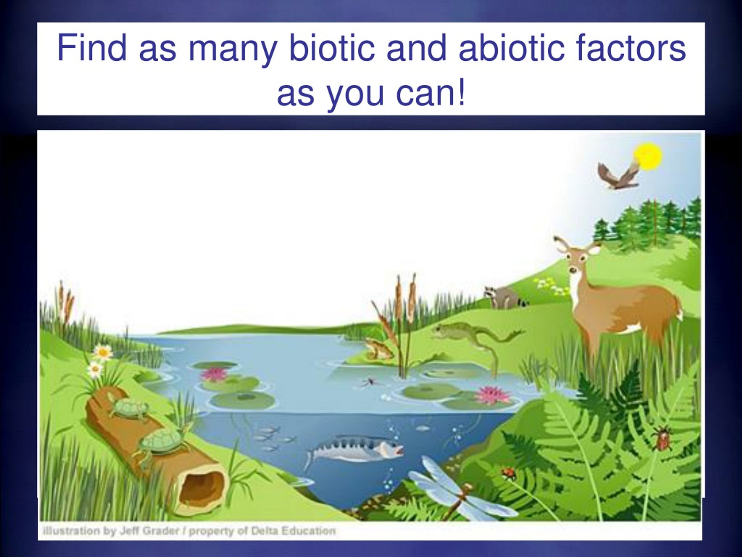 PPT Introduction to Ecology PowerPoint Presentation, free download
