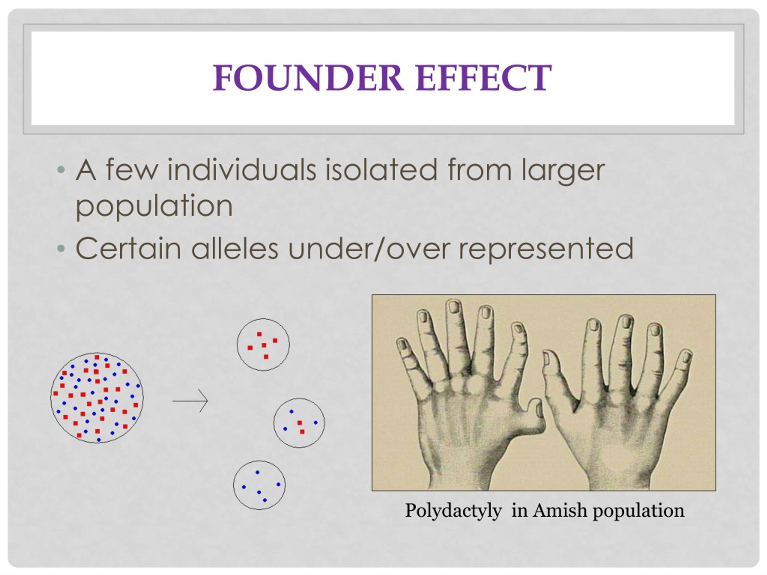 PPT Ch. 22/23 Warmup PowerPoint Presentation, free download ID517817