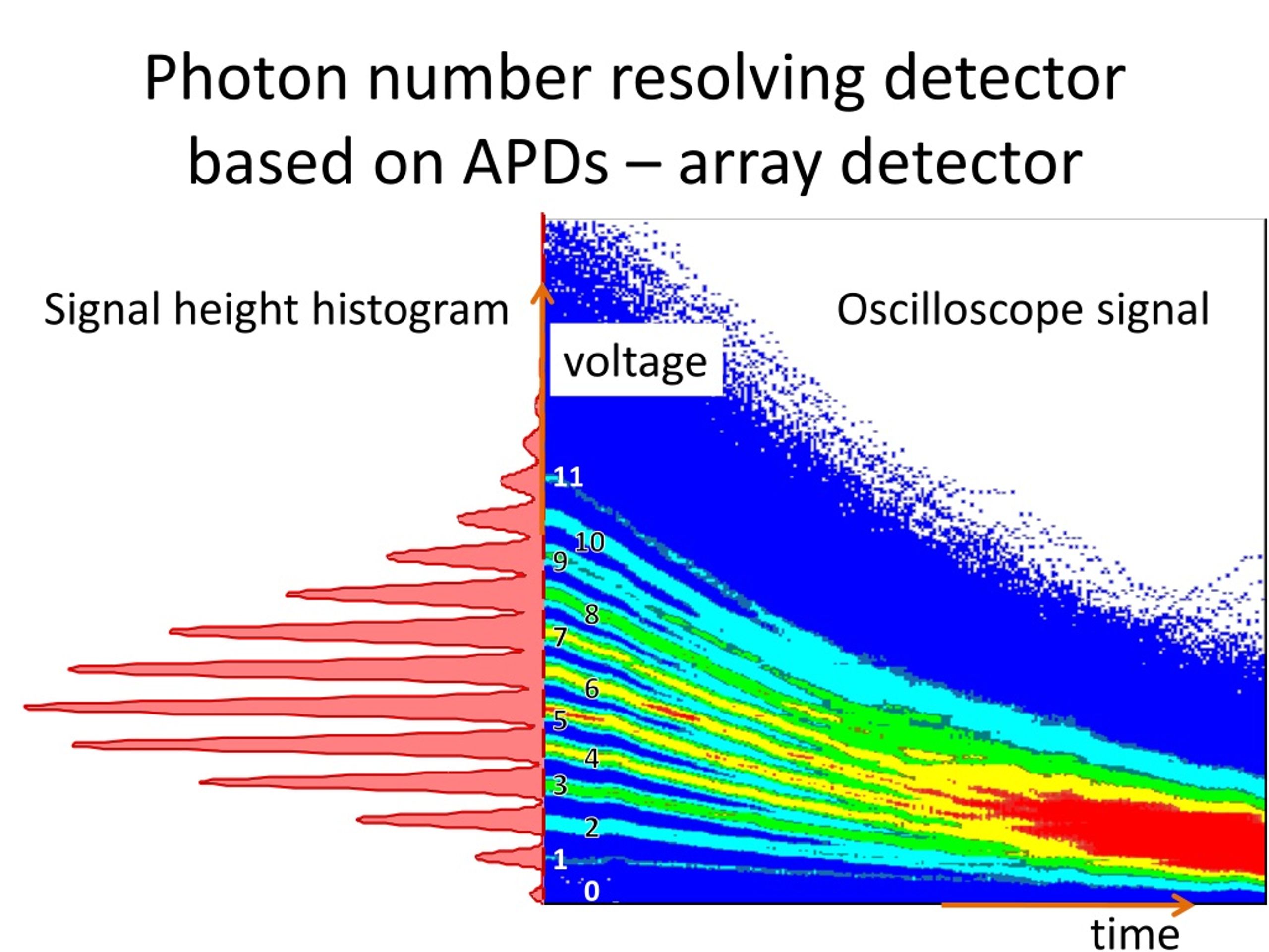 PPT Single Photon Detectors and Photon statistics detection