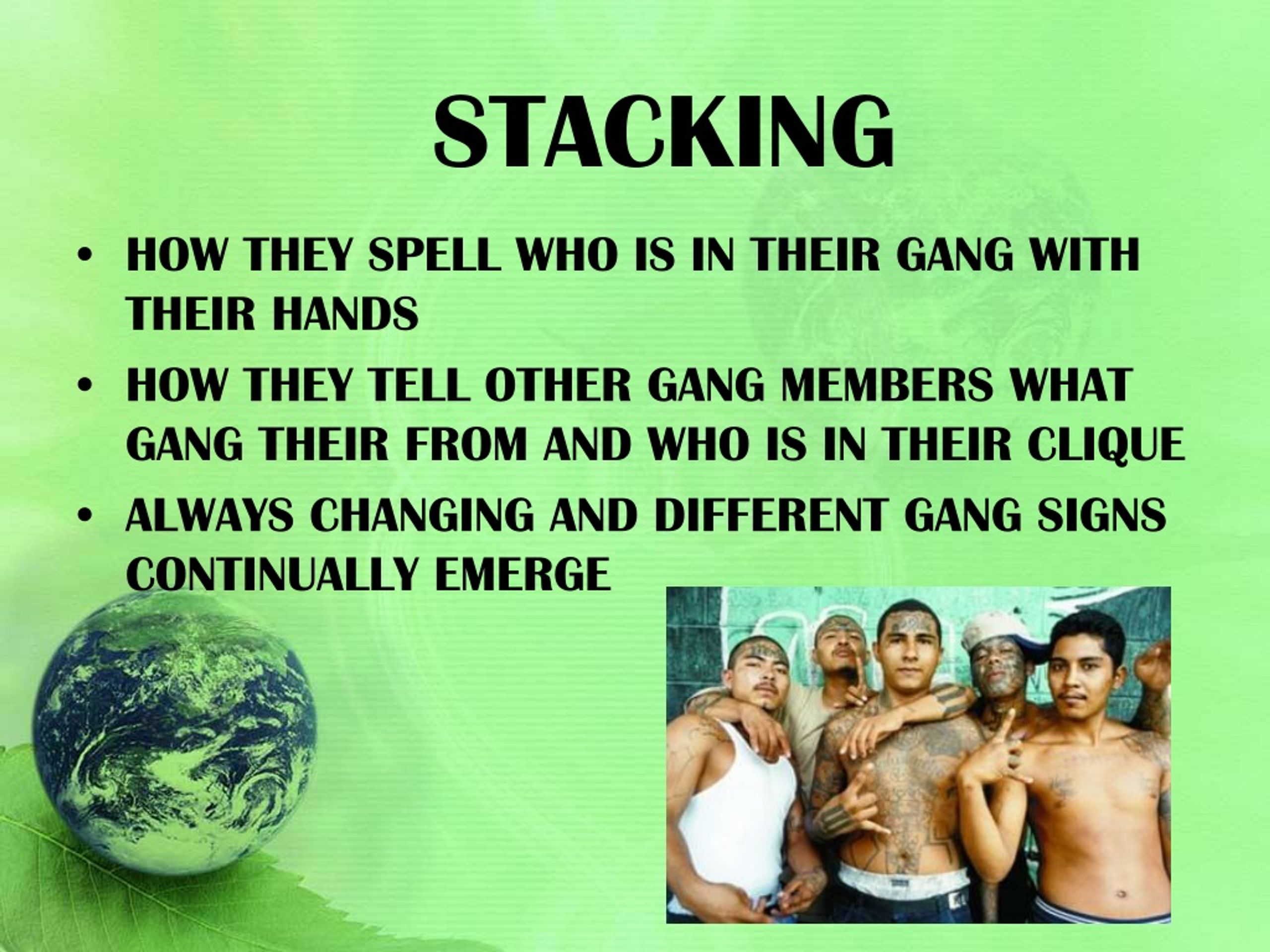 PPT THE GEOGRAPHY OF MS 13 PowerPoint Presentation, free download