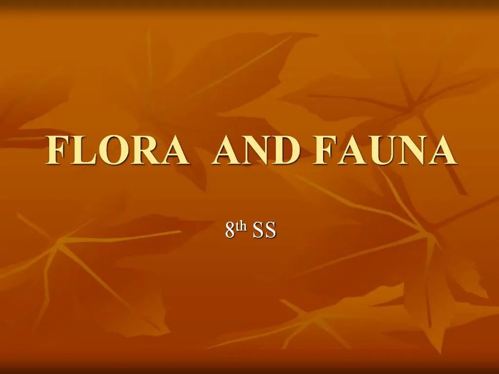 PPT FLORA AND FAUNA PowerPoint Presentation, free download ID536519