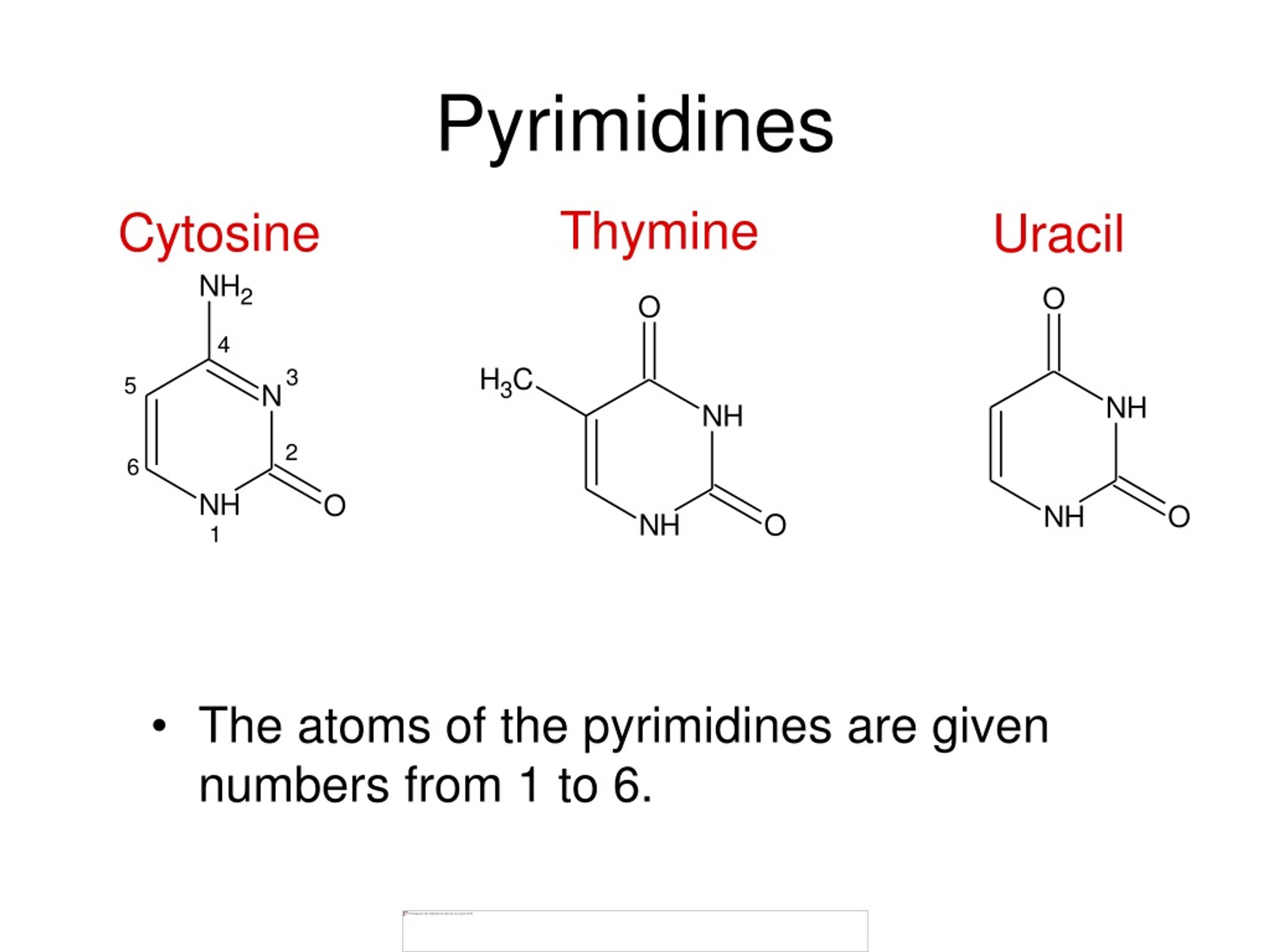 PPT Chapter 2 The Structure of DNA PowerPoint Presentation, free