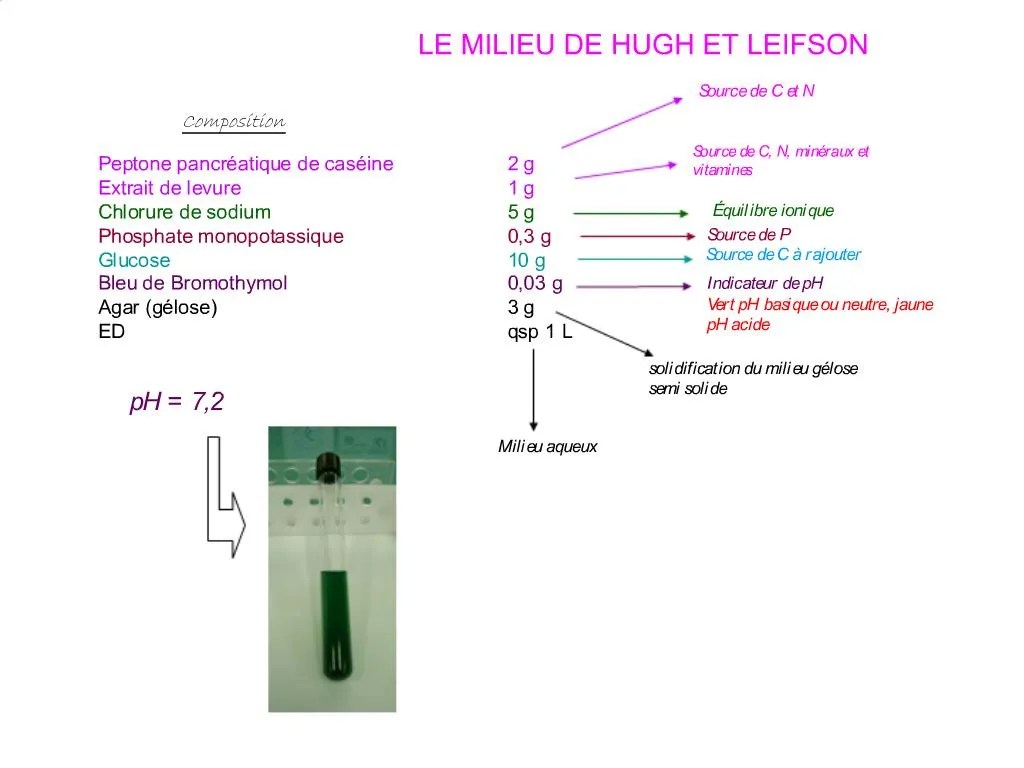 PPT LE MILIEU DE HUGH ET LEIFSON PowerPoint Presentation, free