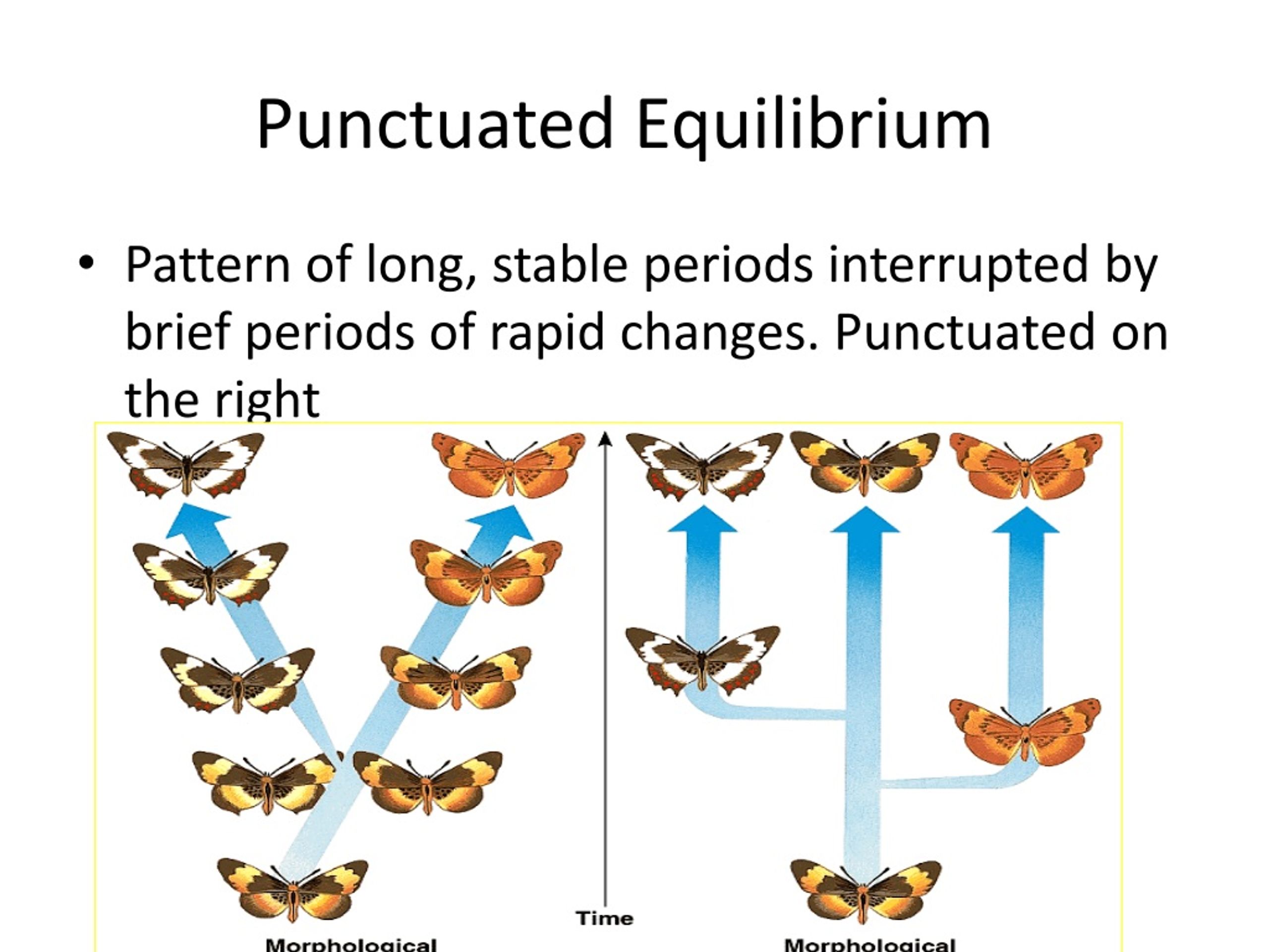 PPT Patterns In Evolution PowerPoint Presentation, free download ID