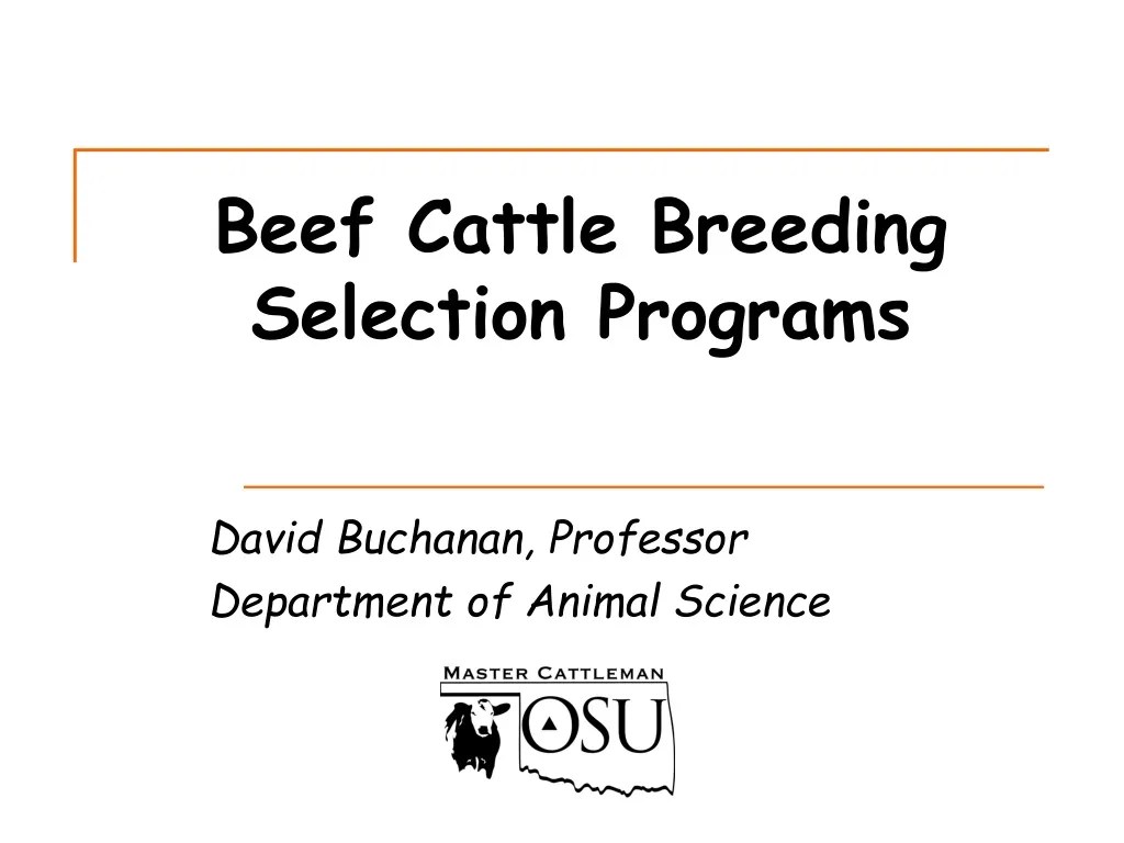 PPT Beef Cattle Breeding Selection Programs PowerPoint Presentation