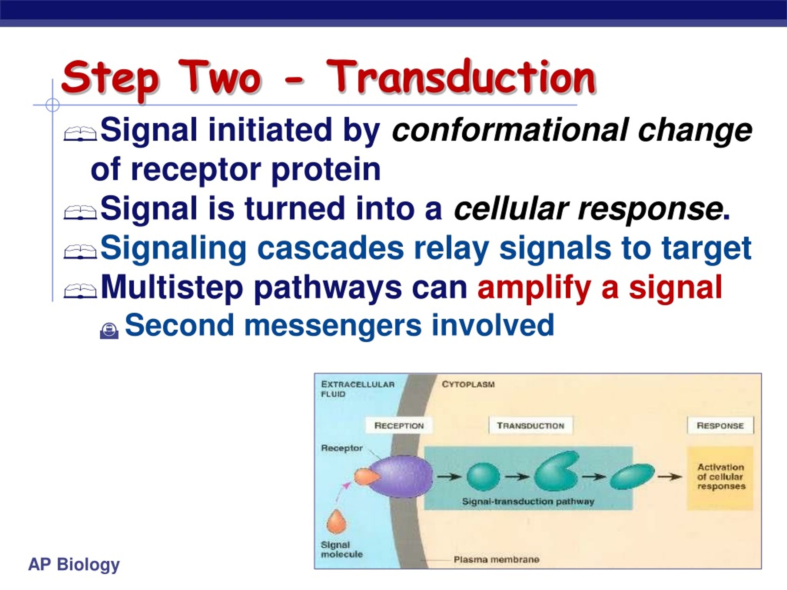 PPT - Cell Communication PowerPoint Presentation, free download - ID:640562