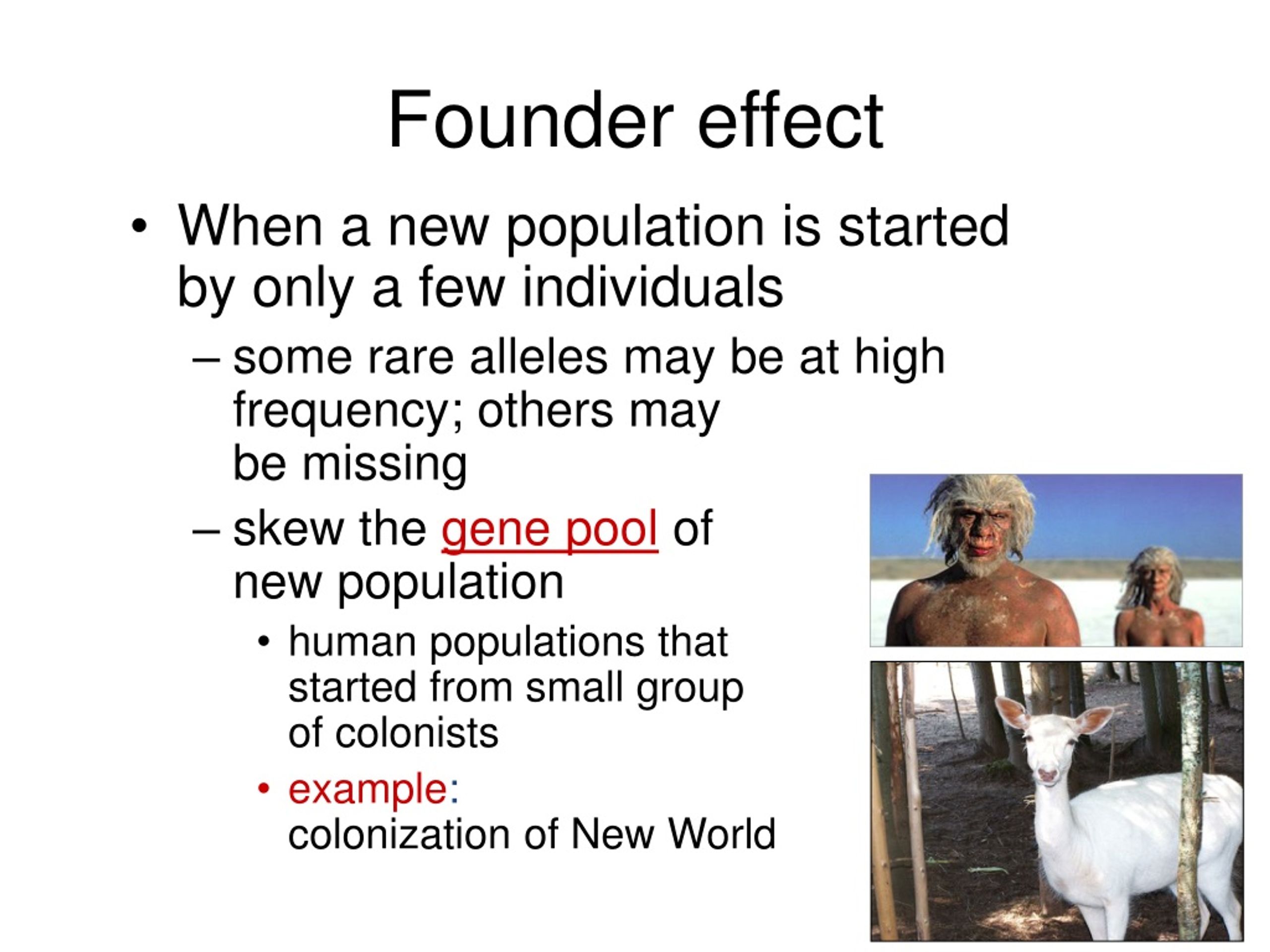 PPT E volution of Species PowerPoint Presentation, free download ID