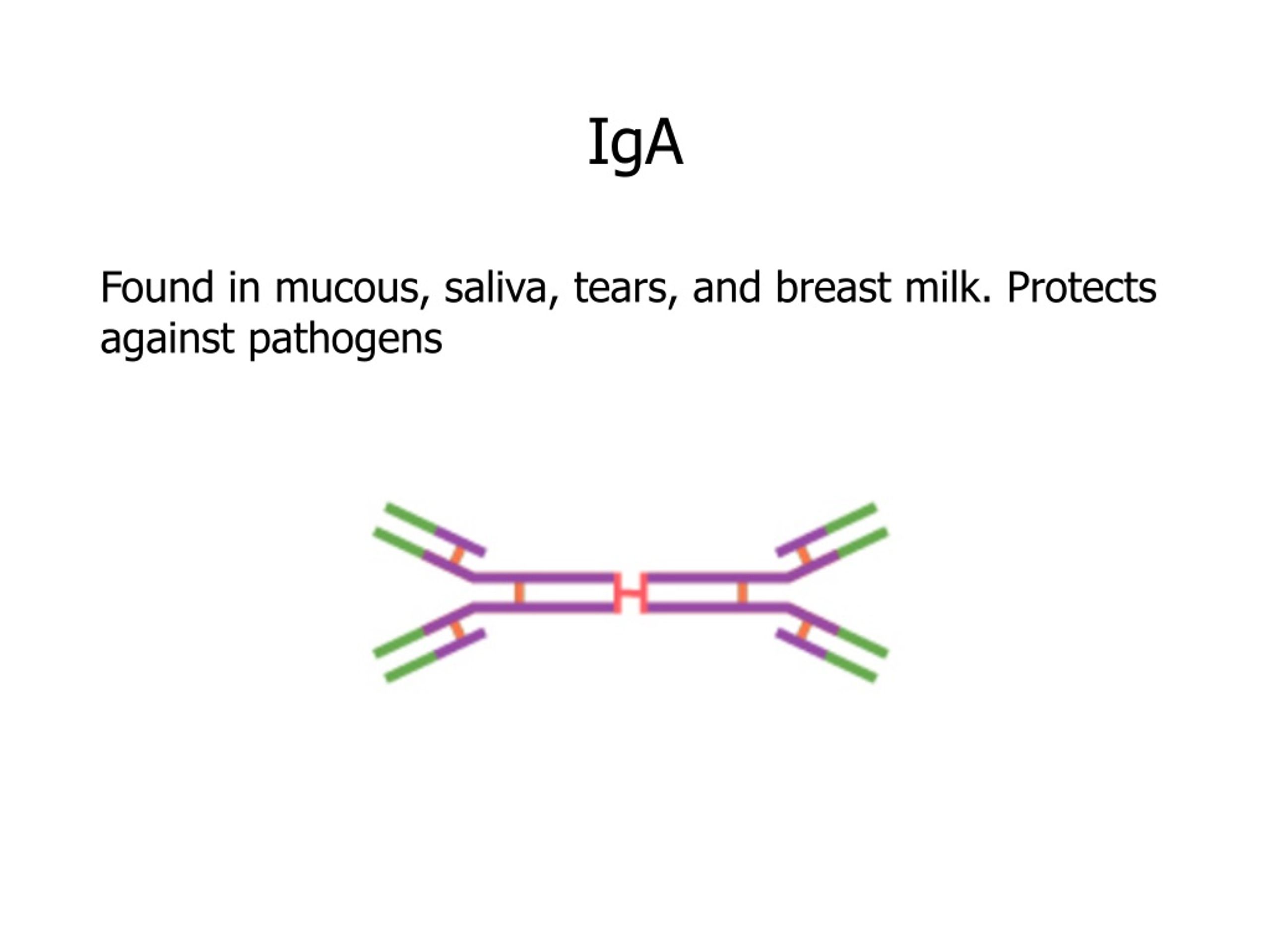 PPT Immune System PowerPoint Presentation, free download ID684418