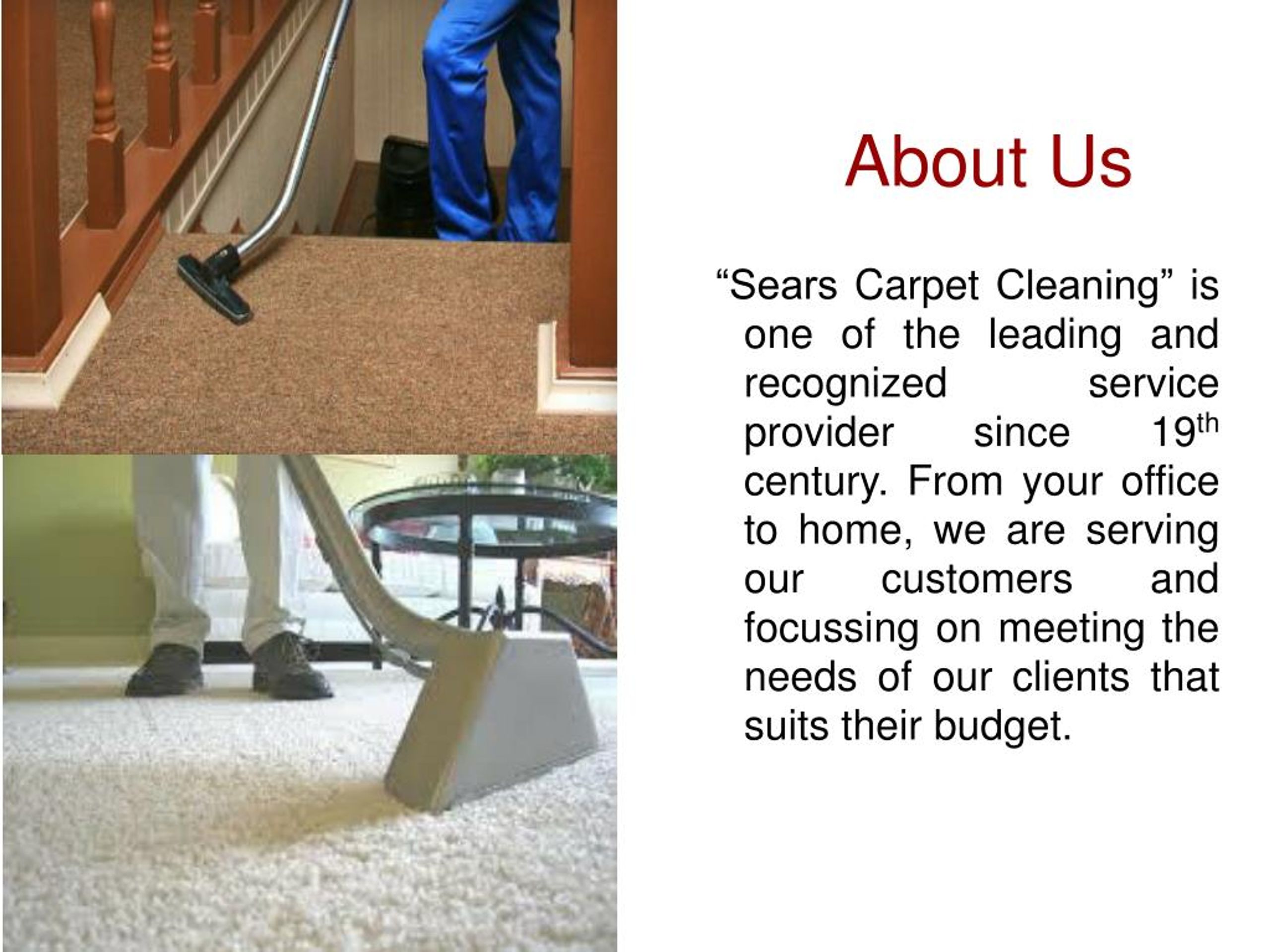 PPT Try Our Coit Carpet Cleaning Services PowerPoint Presentation