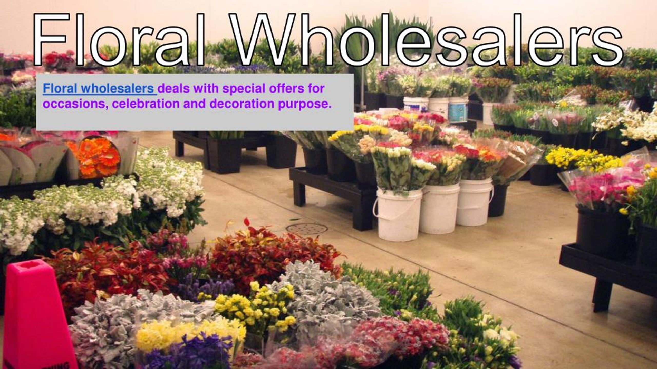 PPT Floral Wholesalers Today PowerPoint Presentation, free download