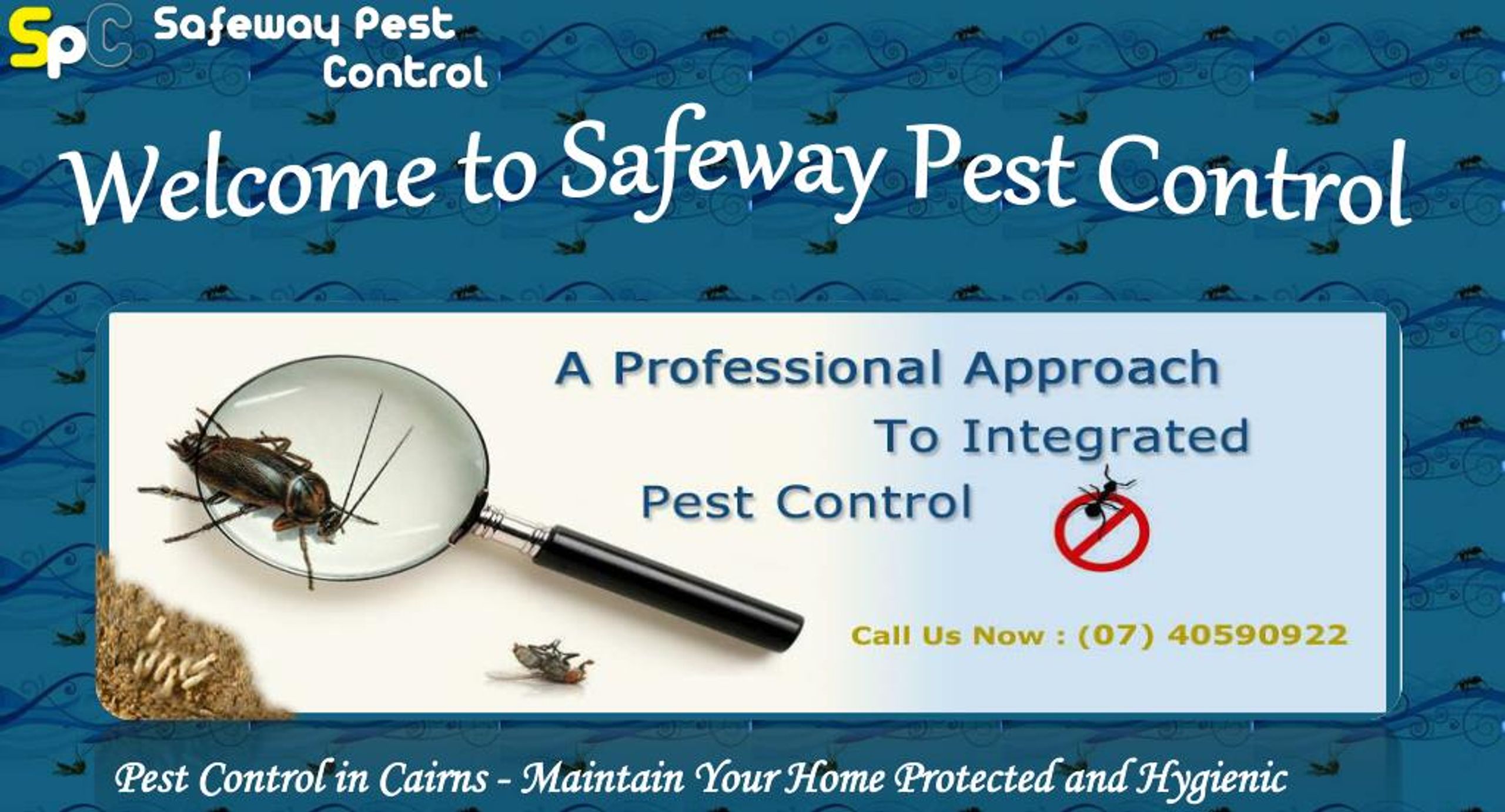 PPT Safeway Pest Control Pest Control in Cairns PowerPoint