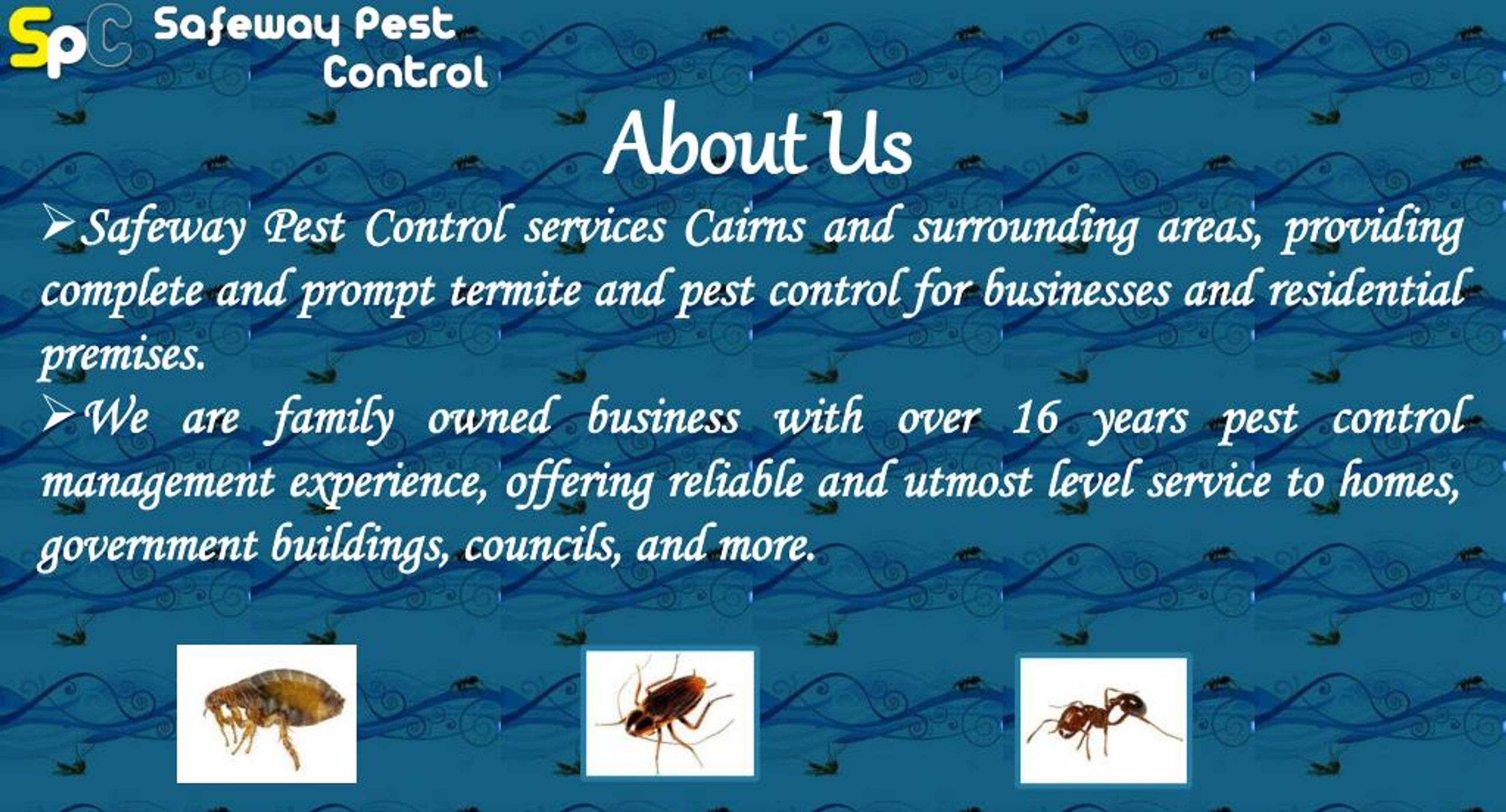 PPT Safeway Pest Control Pest Control in Cairns PowerPoint