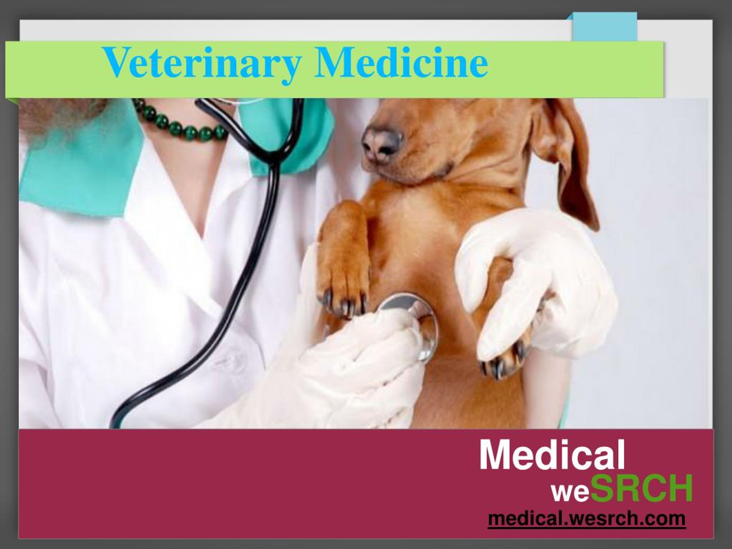 PPT Learn about Veterinary Medicine PowerPoint Presentation, free