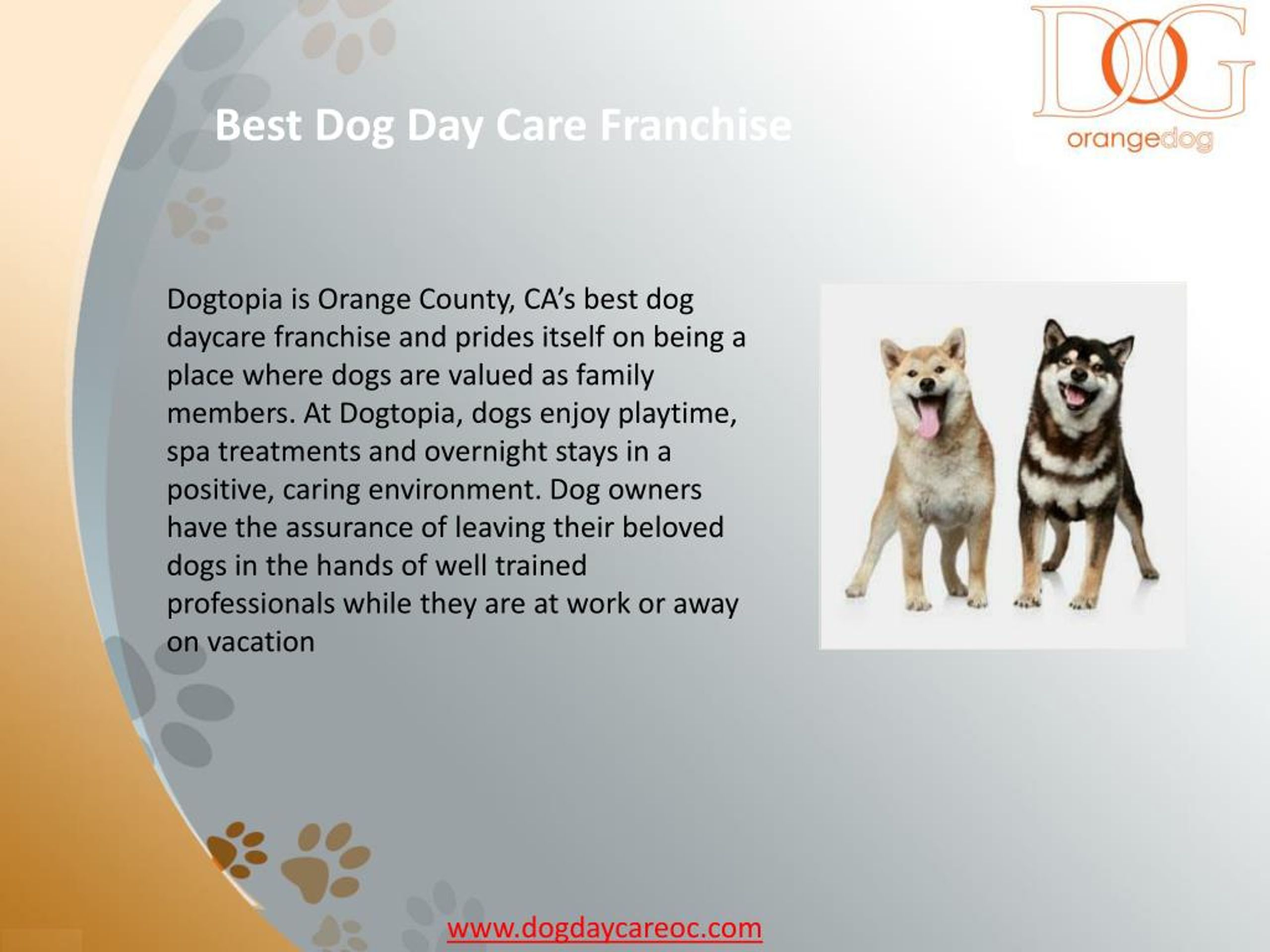 PPT Choosing a Great Dog Day Care in Orange County, California