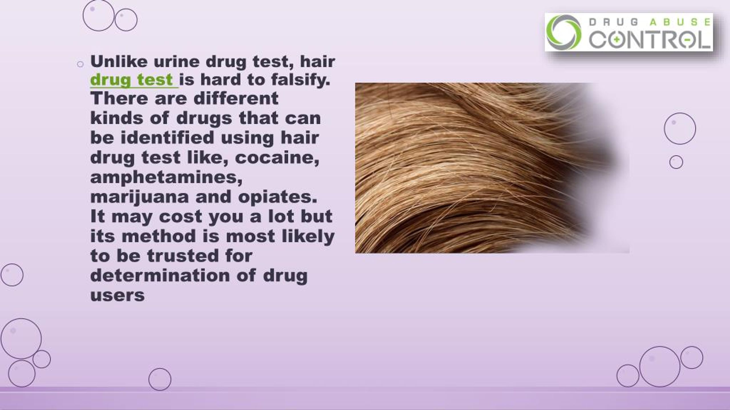PPT Hair drug test how it is done PowerPoint Presentation, free