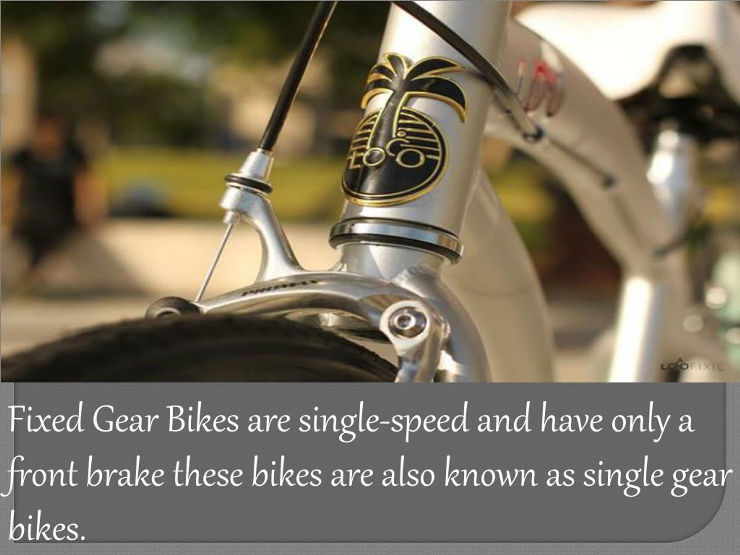 PPT Loco Cycle Brand Fixed Gear Bikes For Sale PowerPoint