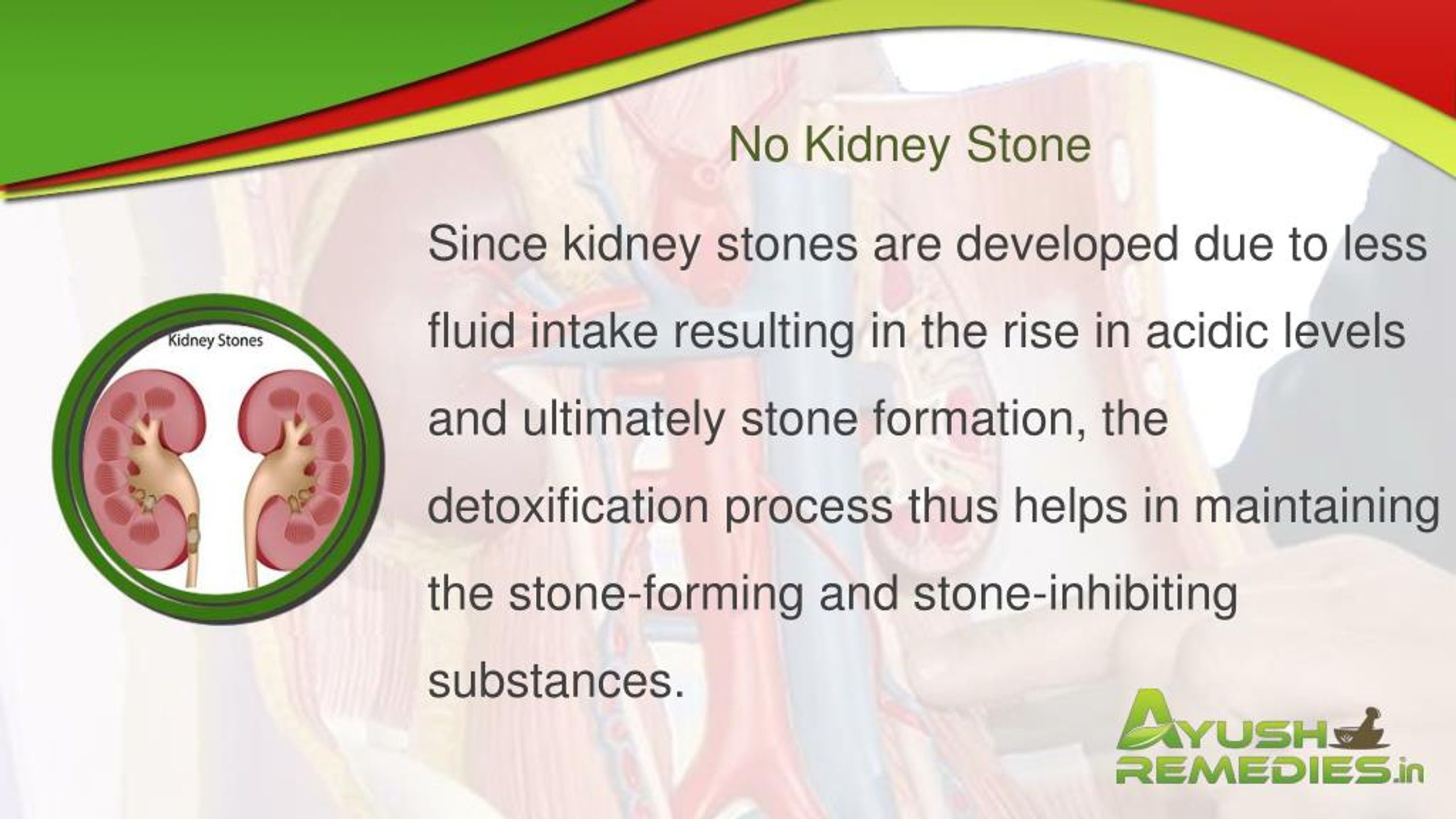 PPT Health Benefits of Kidney Cleansing and Natural Ways to Cleanse