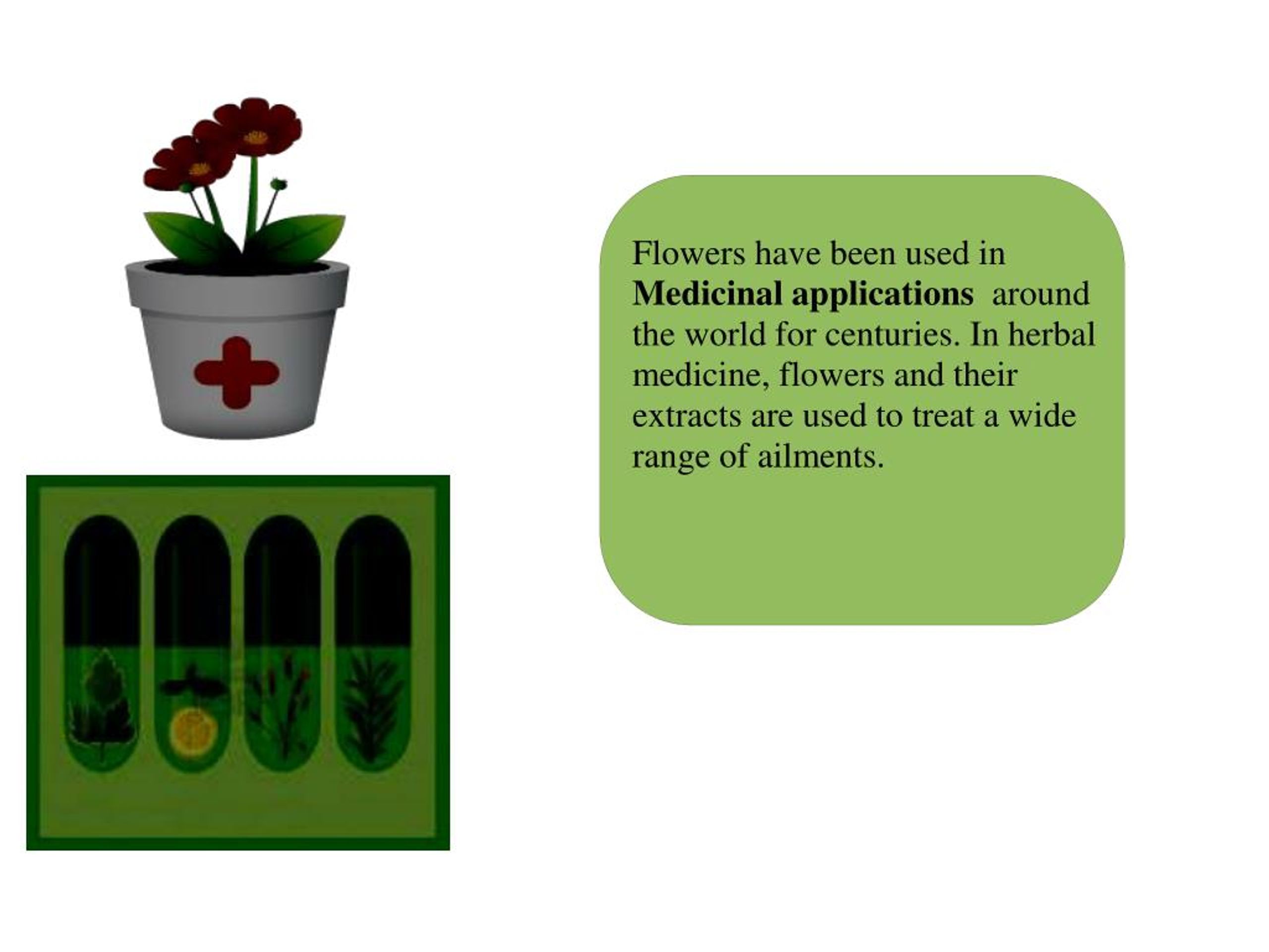PPT Importance Of Flowers In Our Daily Life PowerPoint Presentation