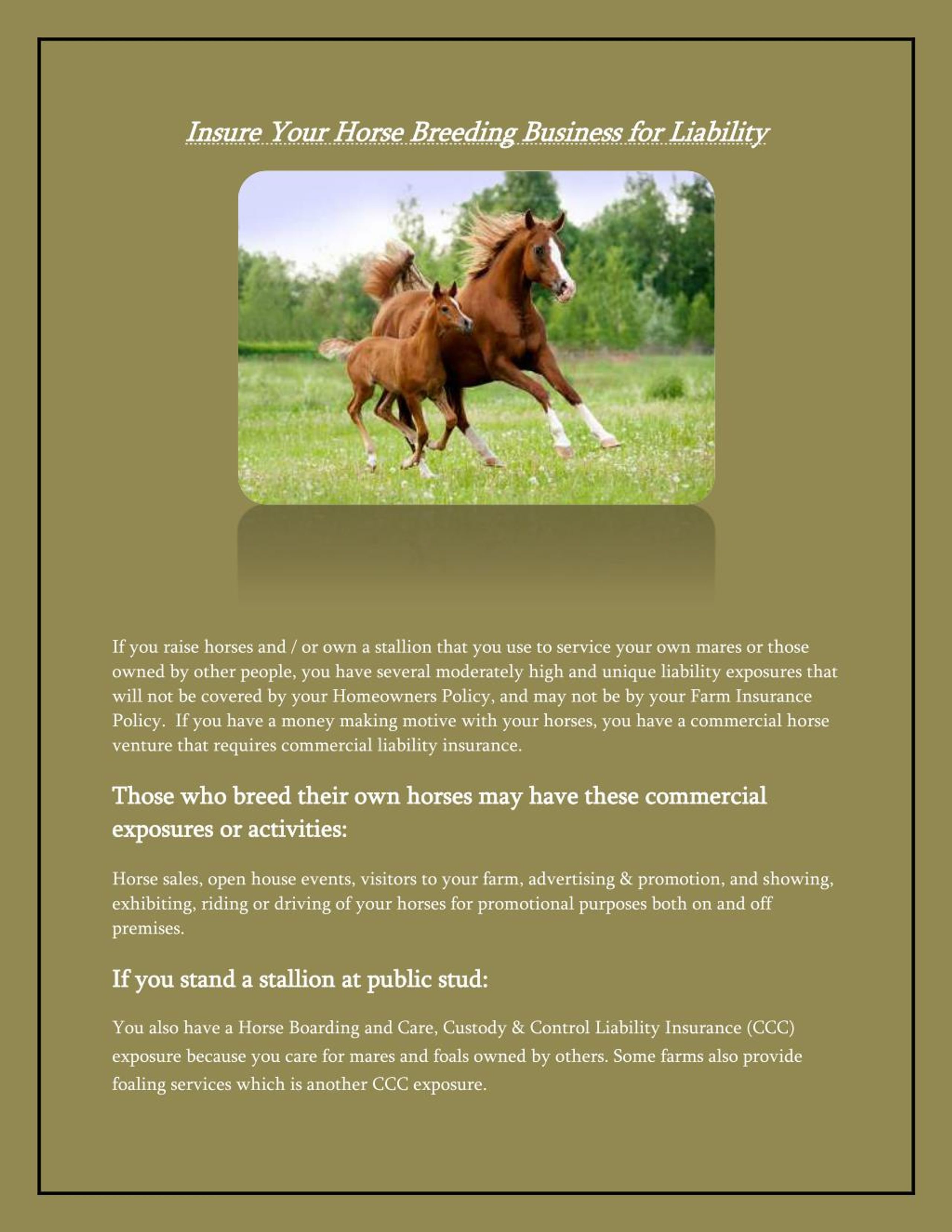 PPT Horse Insurance PowerPoint Presentation, free download ID7200109