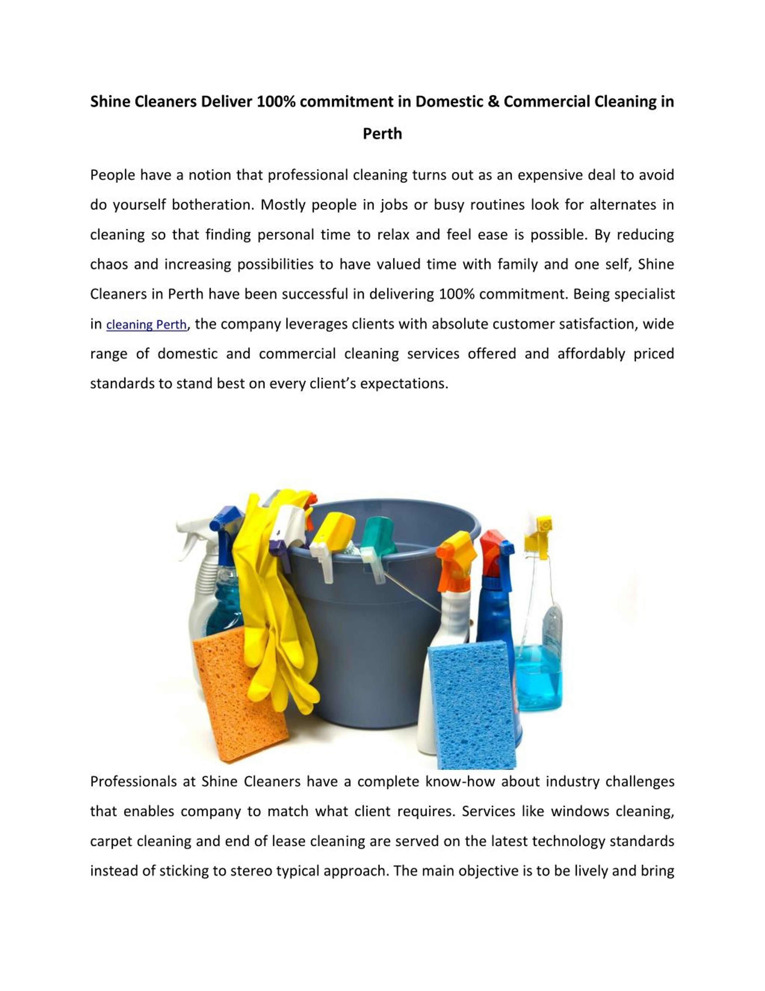 PPT Shine Cleaners Deliver 100 commitment in Domestic & Commercial