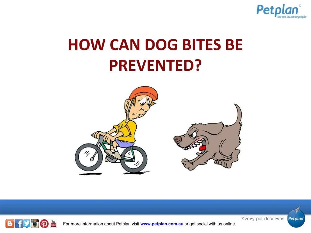 PPT Dog Bite Safety Tips PowerPoint Presentation ID7204798