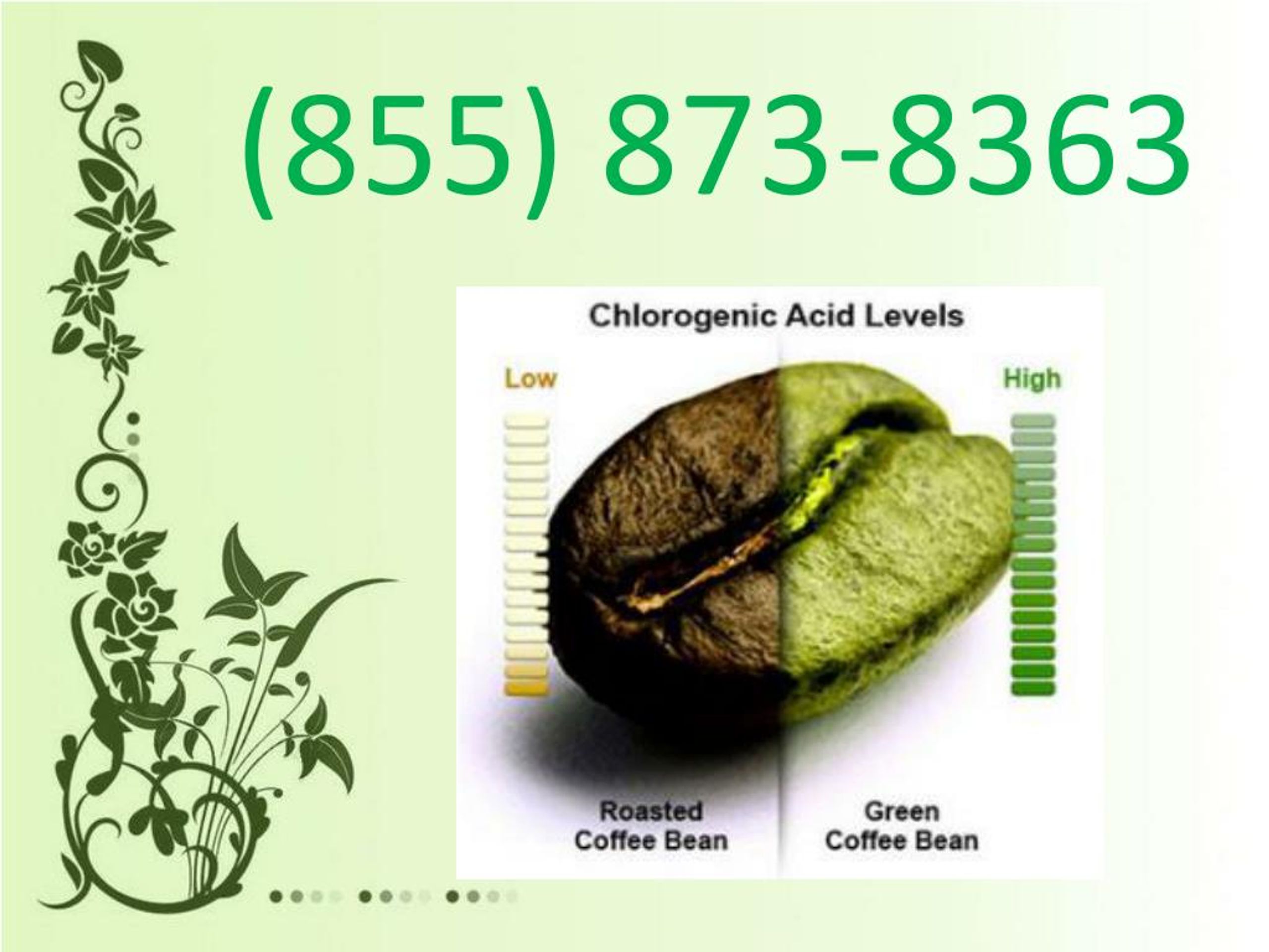 PPT (855)8738363green coffee bean weight loss!!!!!!!!!!!usa