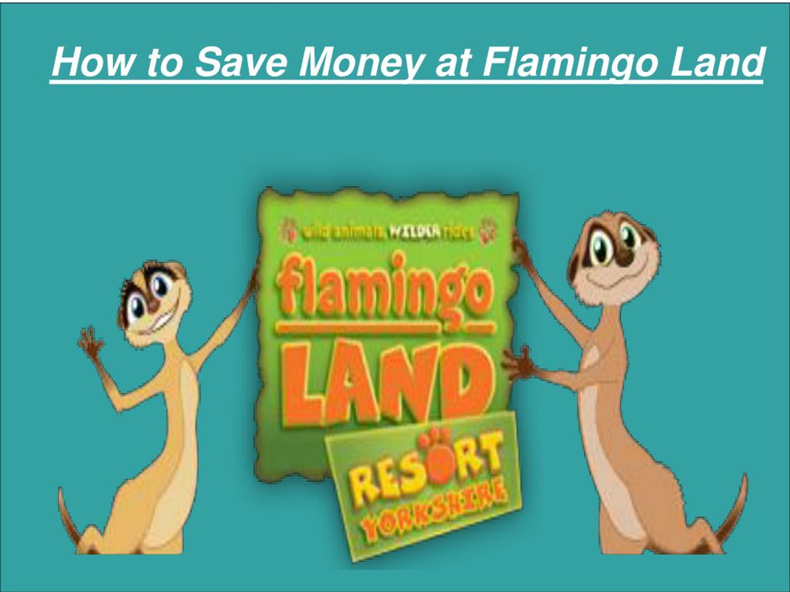 PPT How to Save Money at Flamingo Land PowerPoint Presentation, free download ID7220330