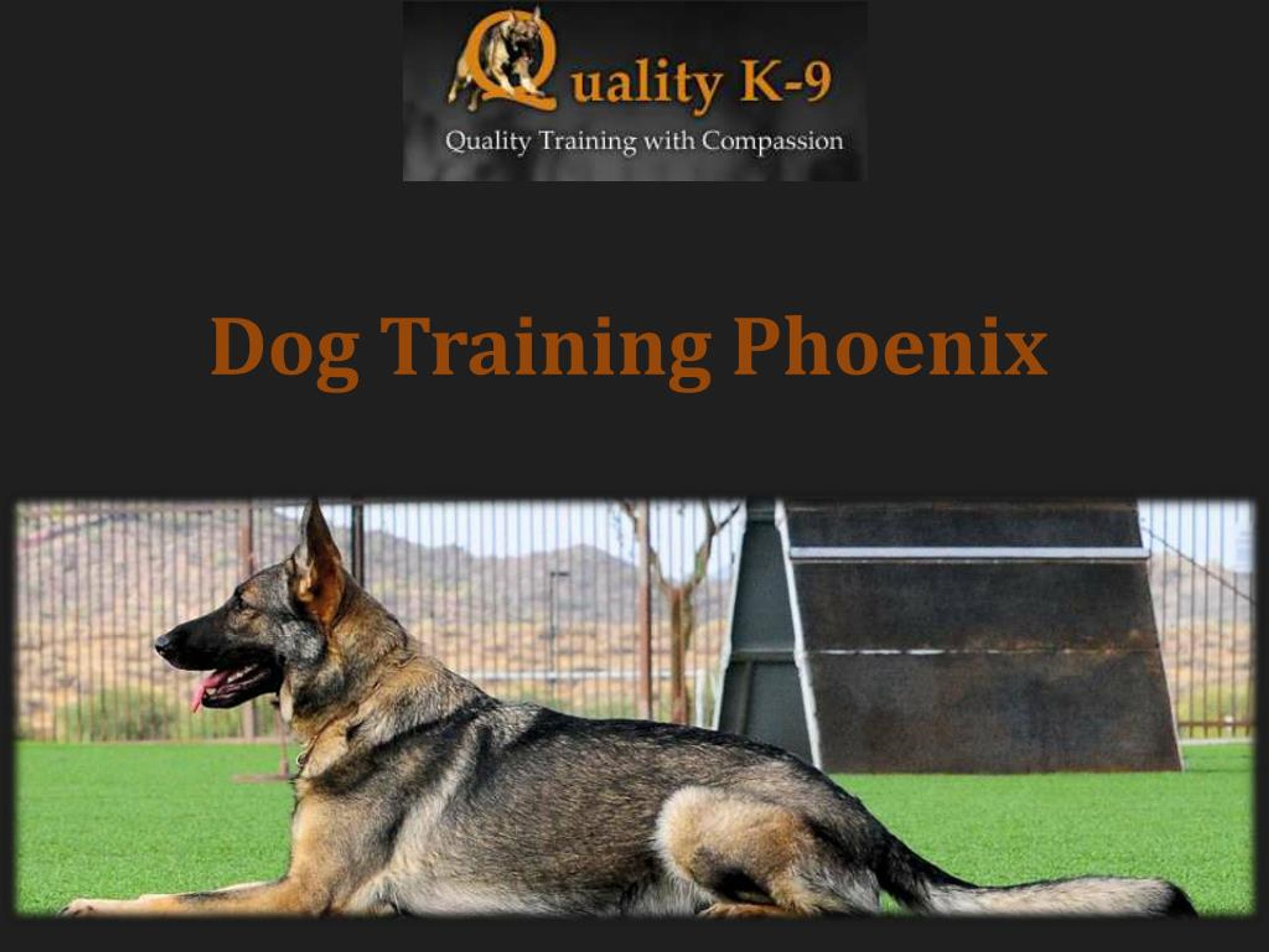 PPT Dog Training Phoenix PowerPoint Presentation, free download ID