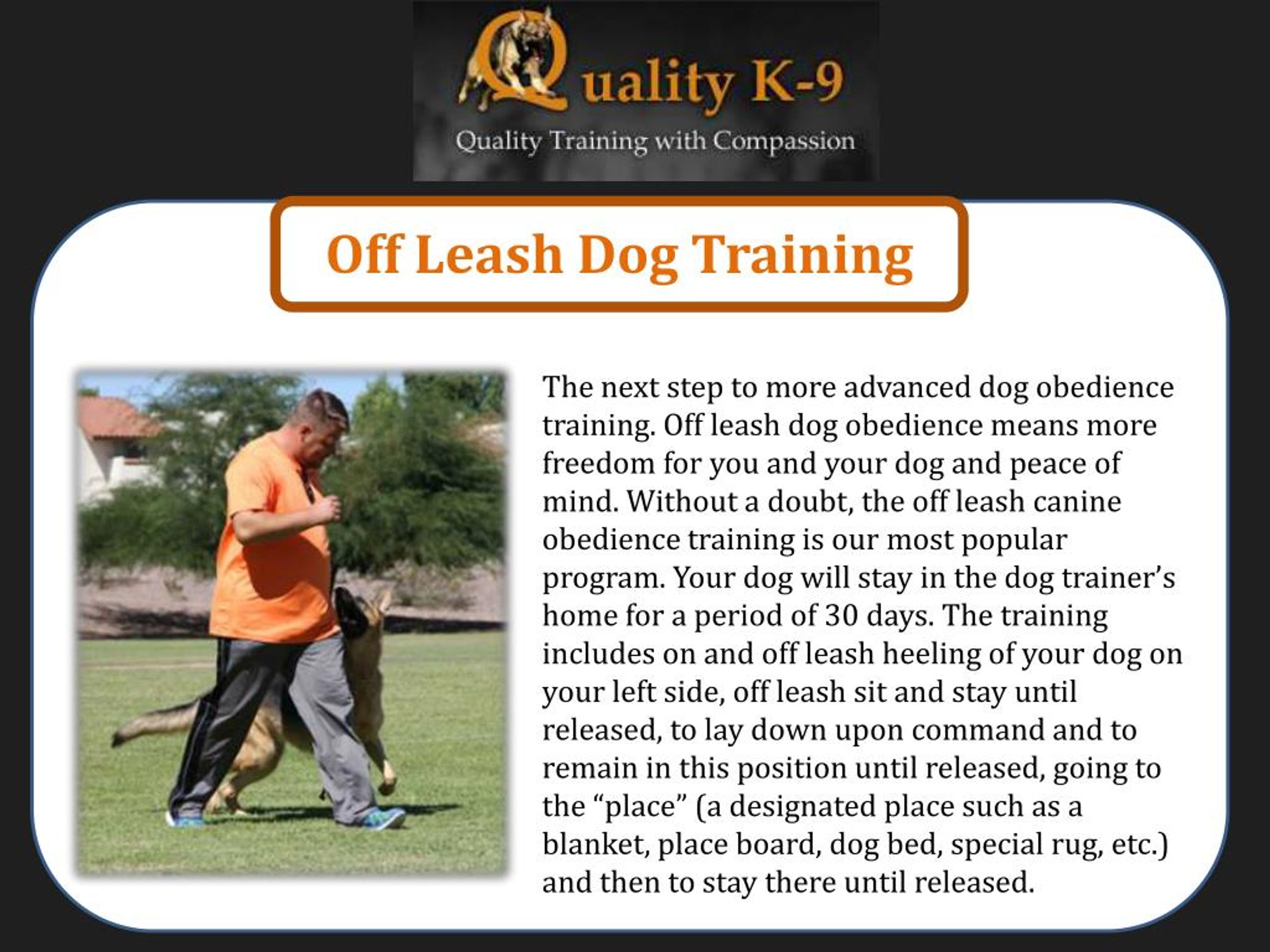 PPT Dog Training Phoenix PowerPoint Presentation, free download ID