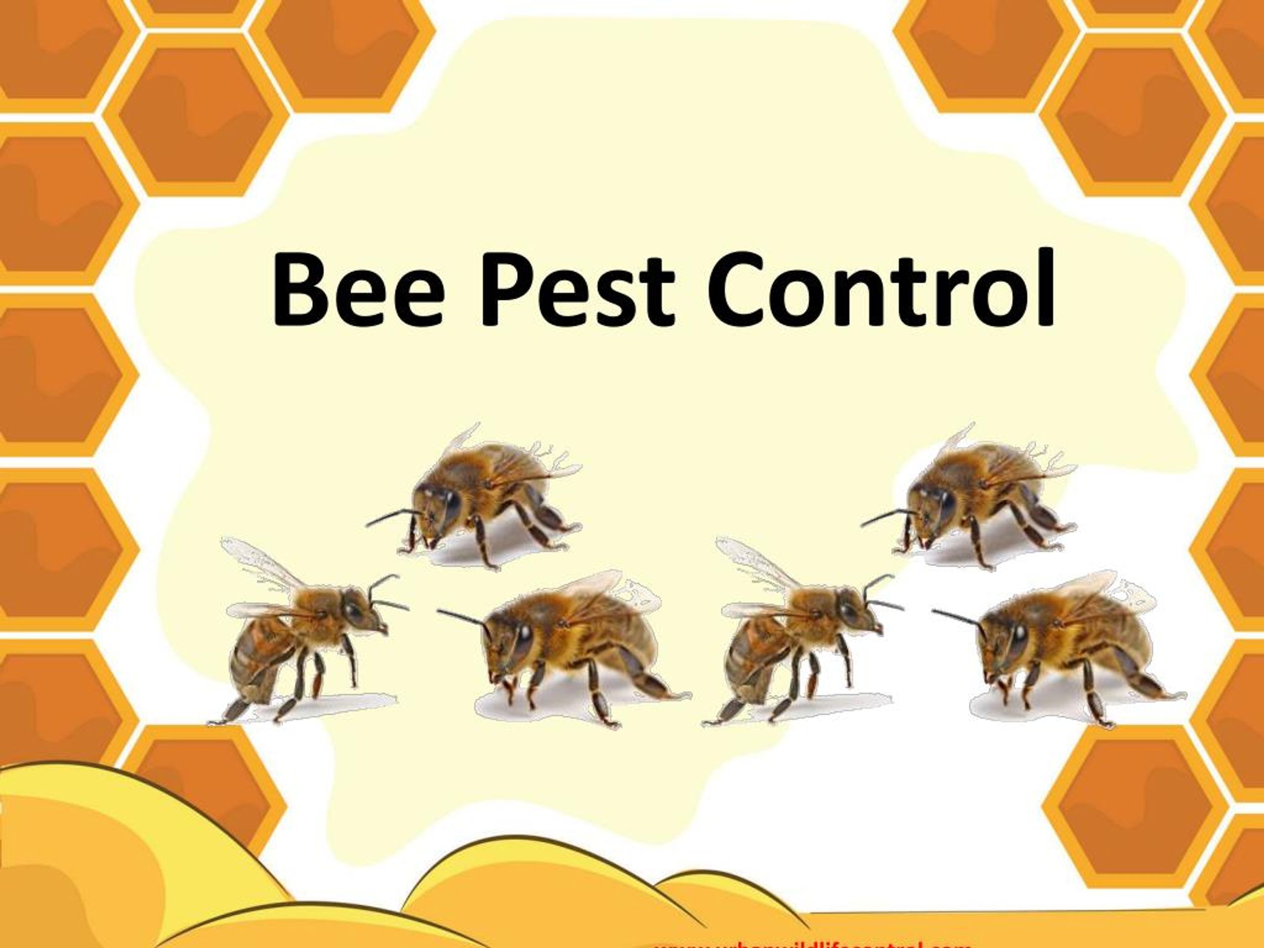 PPT Why We Need Bee Pest Control PowerPoint Presentation, free