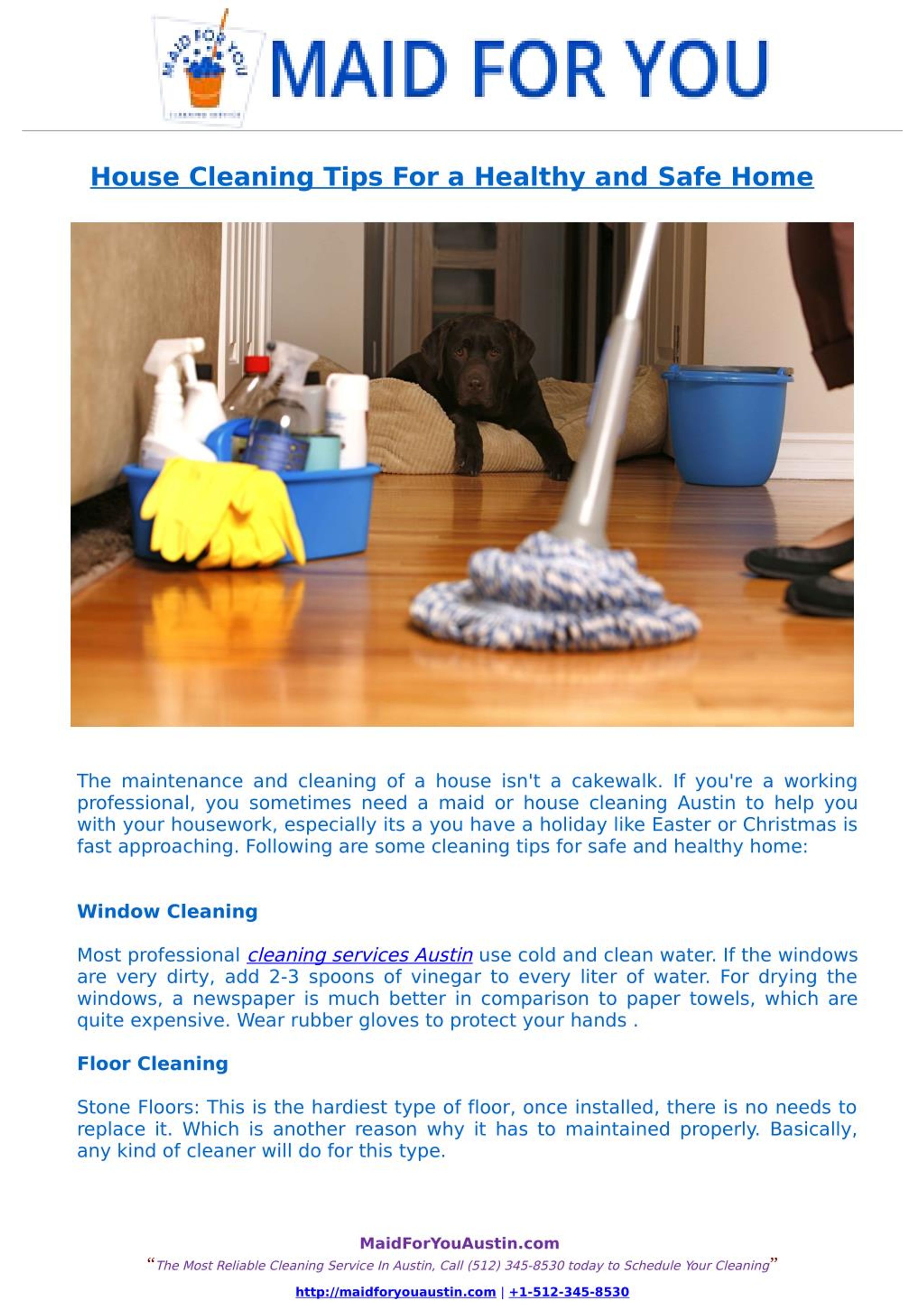 PPT House Cleaning Tips For a Healthy and Safe Home PowerPoint