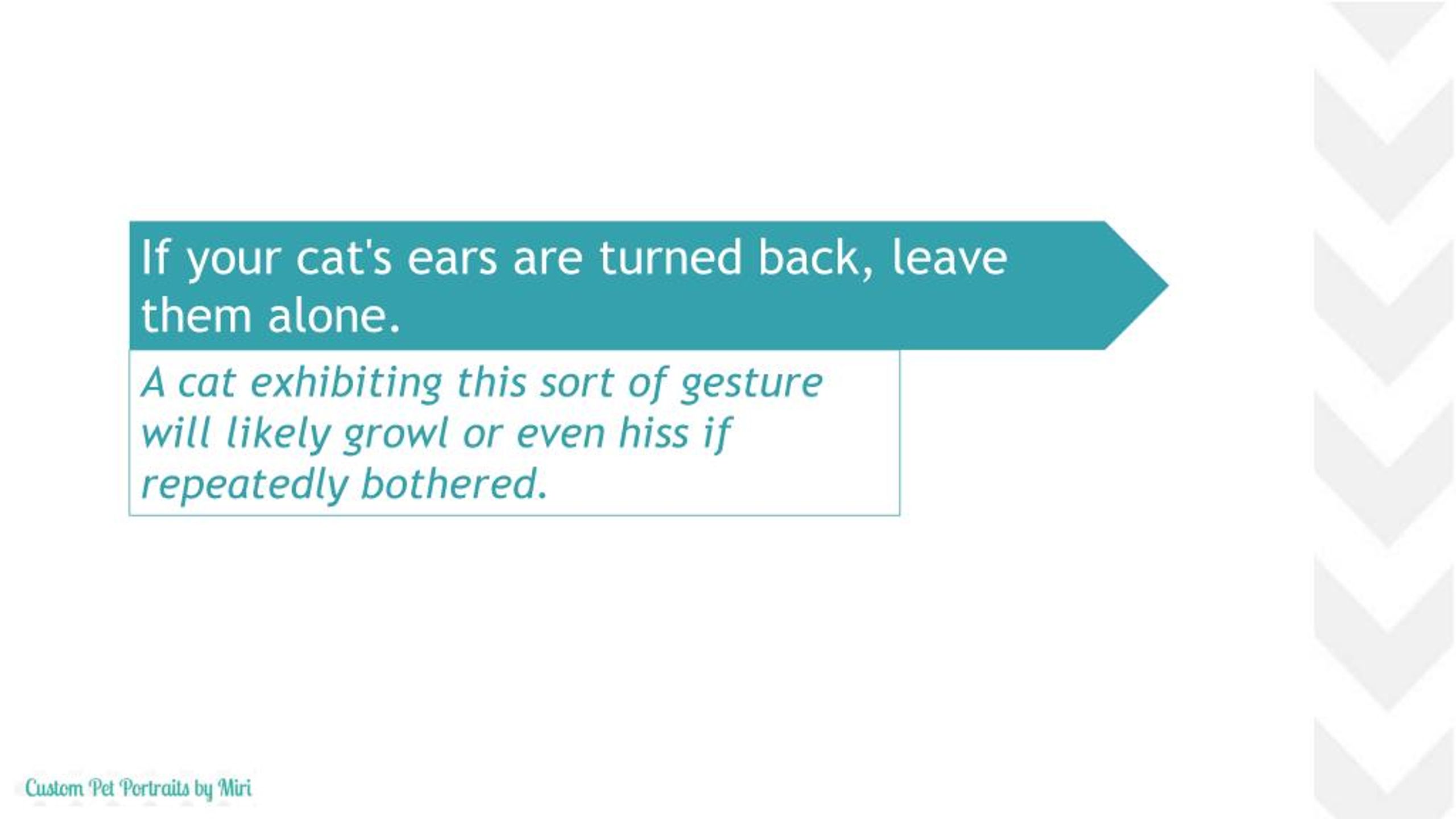 PPT What Do Your Cats Gestures Mean PowerPoint Presentation, free download ID7242907