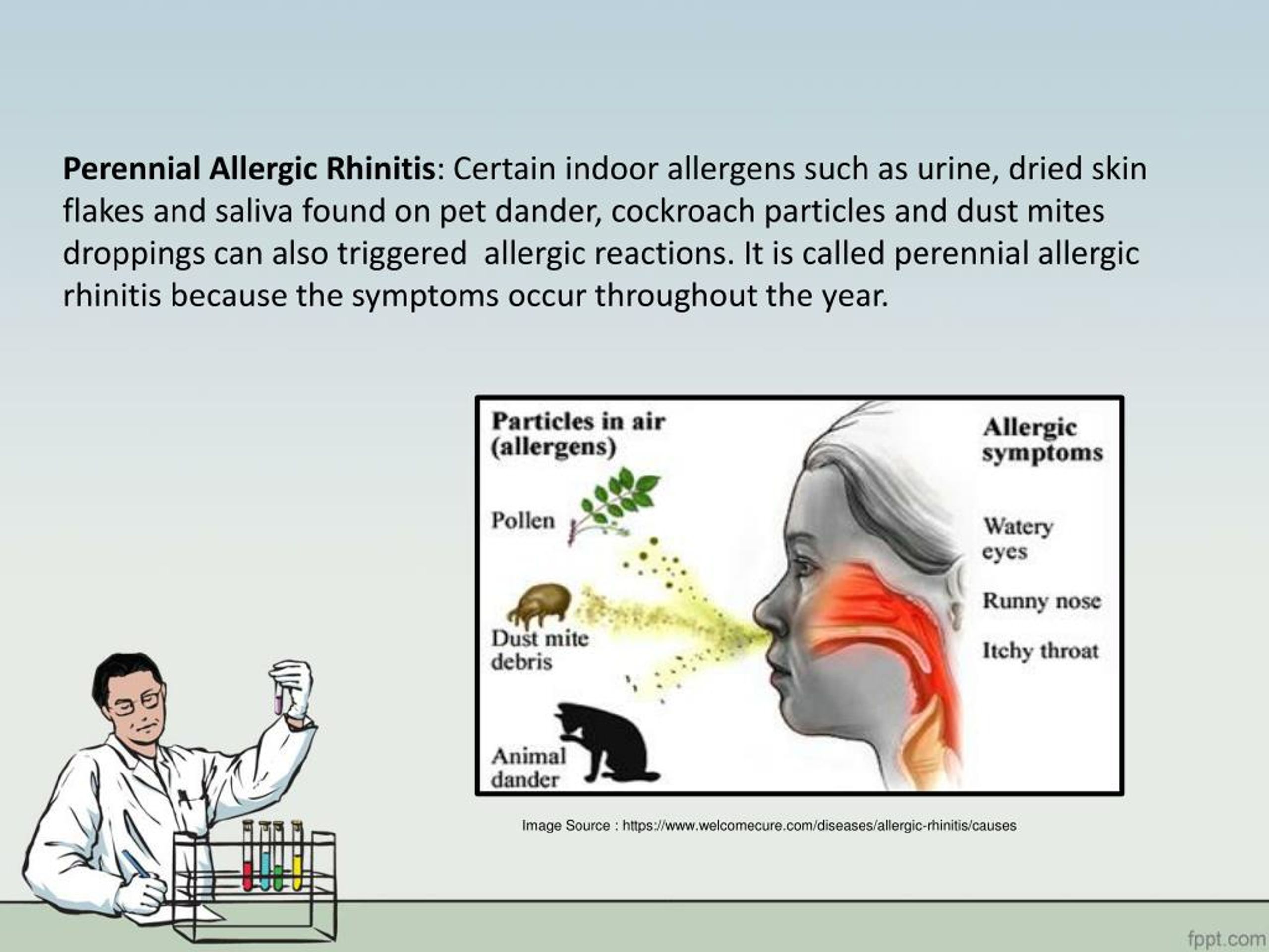 PPT Allergic Rhinitis Symptoms, Diagnosis and Different Treatment