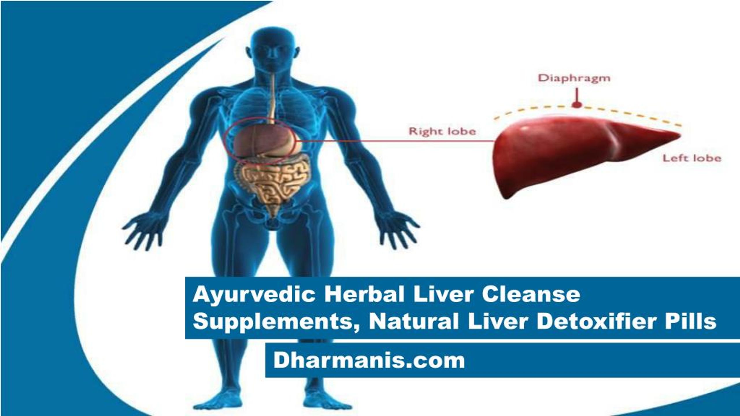 PPT Ayurvedic Herbal Liver Cleanse Supplements, Natural Liver