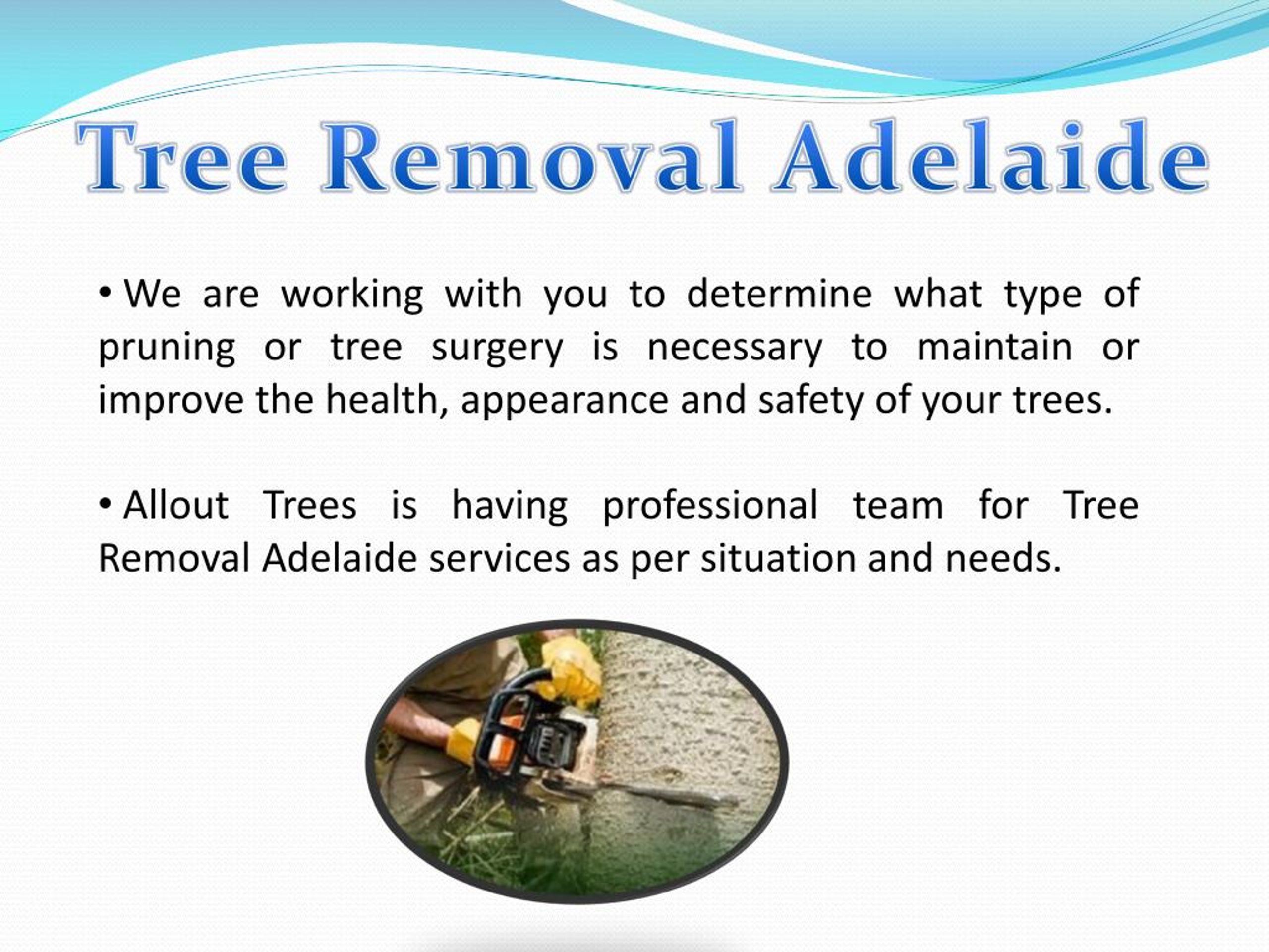PPT Tree Removal Adelaide PowerPoint Presentation, free download ID