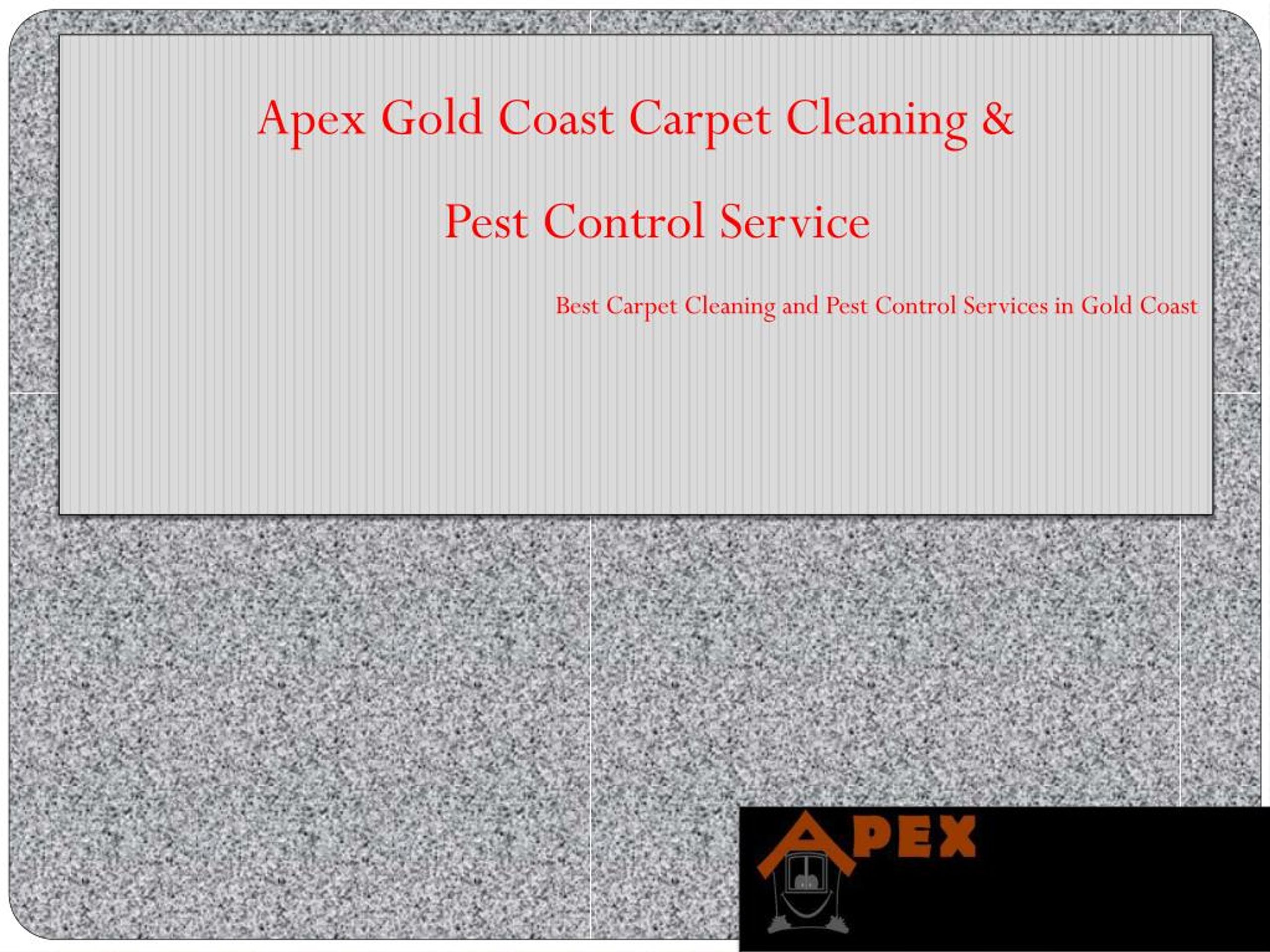 PPT Apex Gold Coast Carpet Cleaning, Termite & Pest Control Service