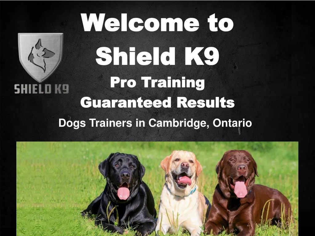 PPT Shield K9 Dog & Puppy Training Classes Kitchener/Waterloo