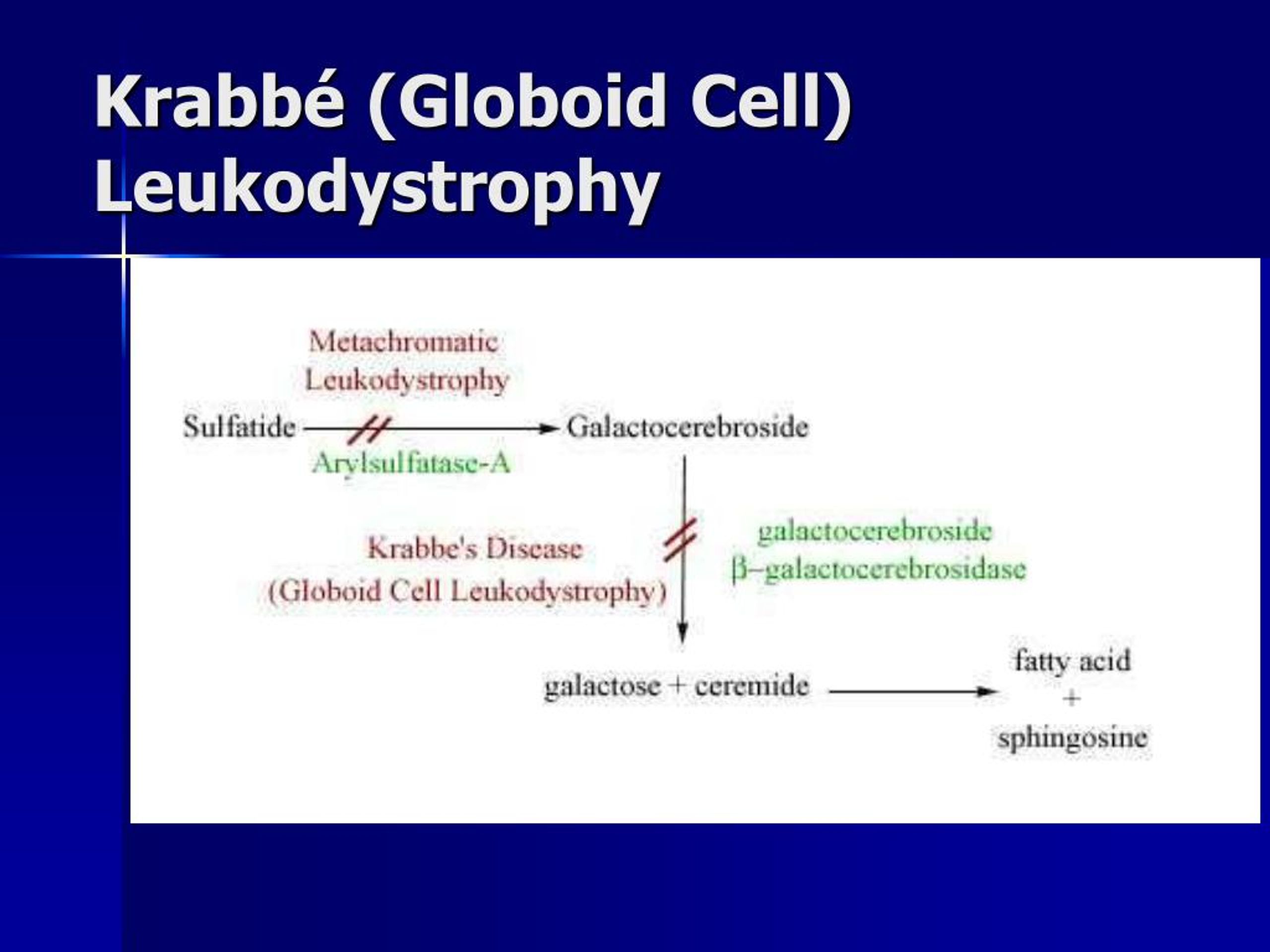 PPT Dysmyelination syndromes PowerPoint Presentation