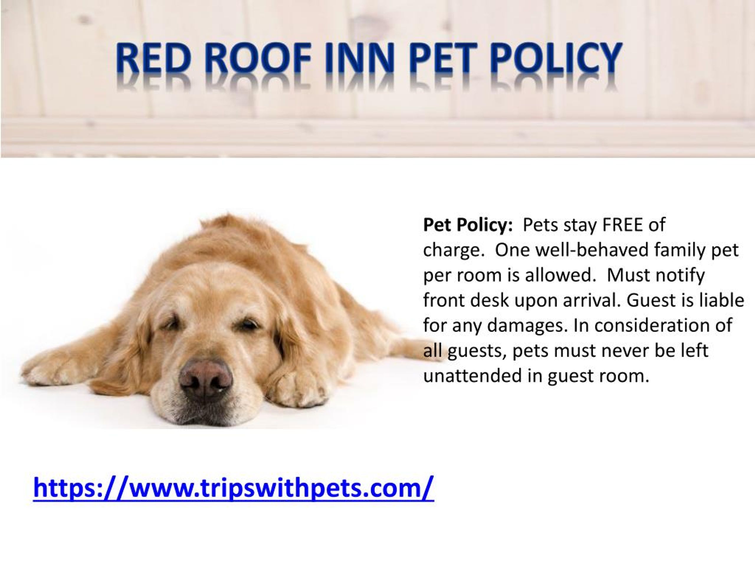 PPT PetFriendly Policies PetFriendly Hotels Guide PowerPoint