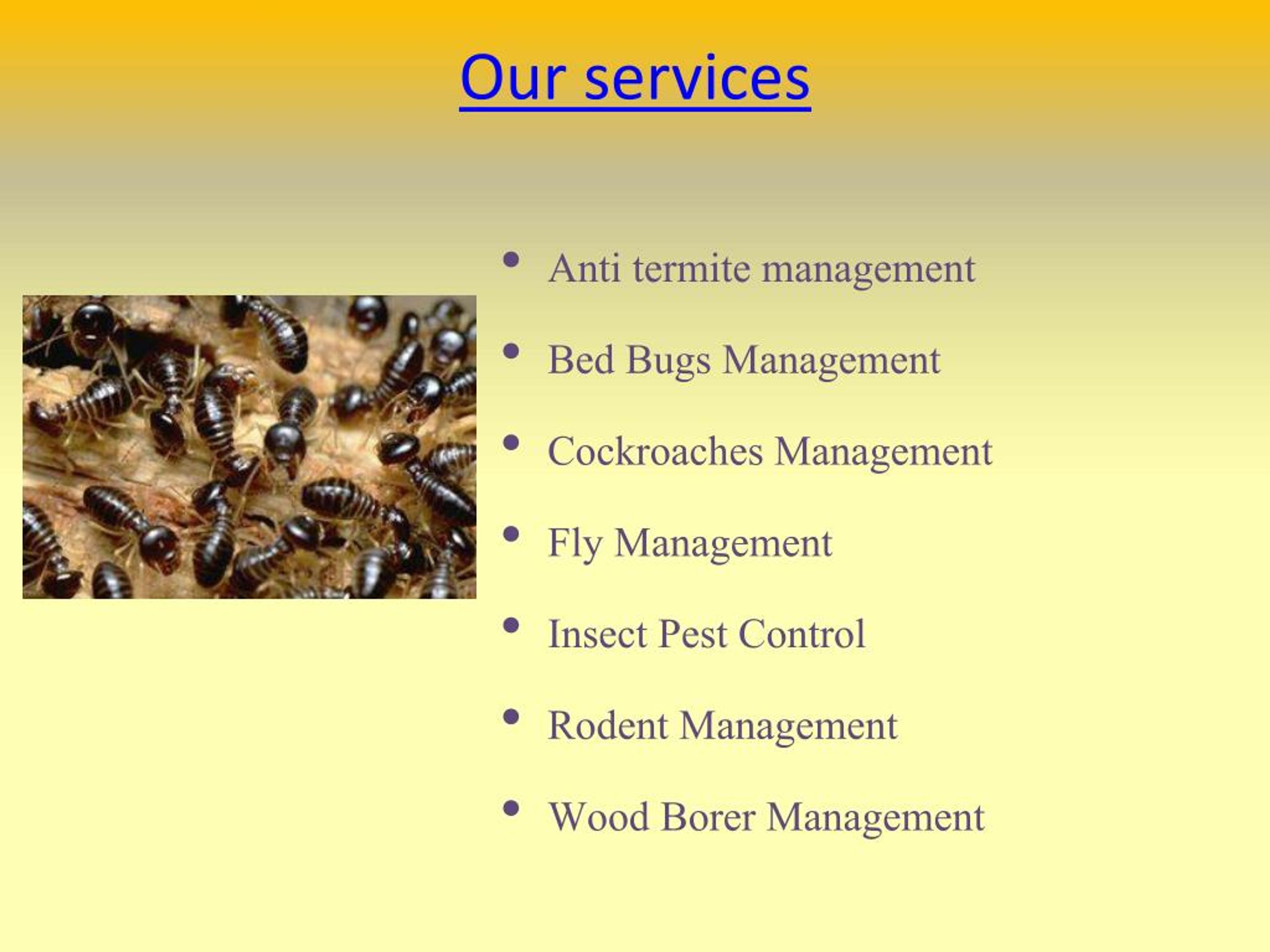PPT Expert termite pest control services in gurgaon call us on