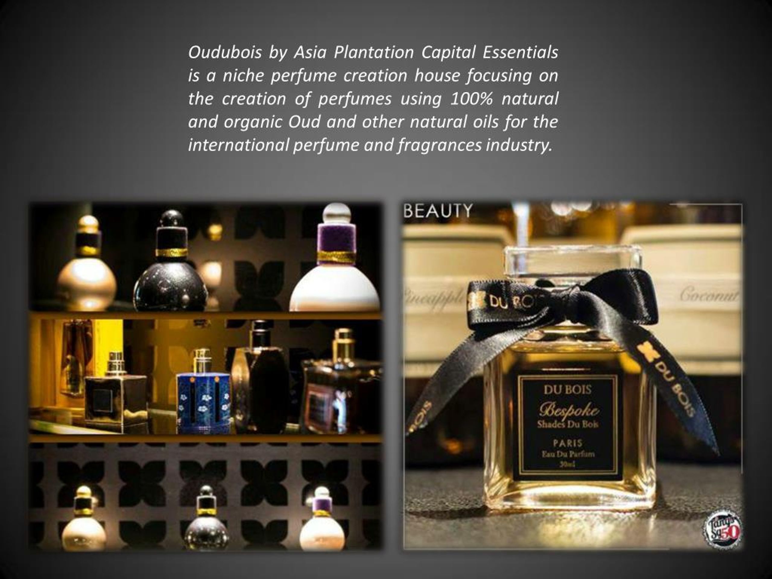 PPT Best Oud Perfume Dubai PowerPoint Presentation, free download