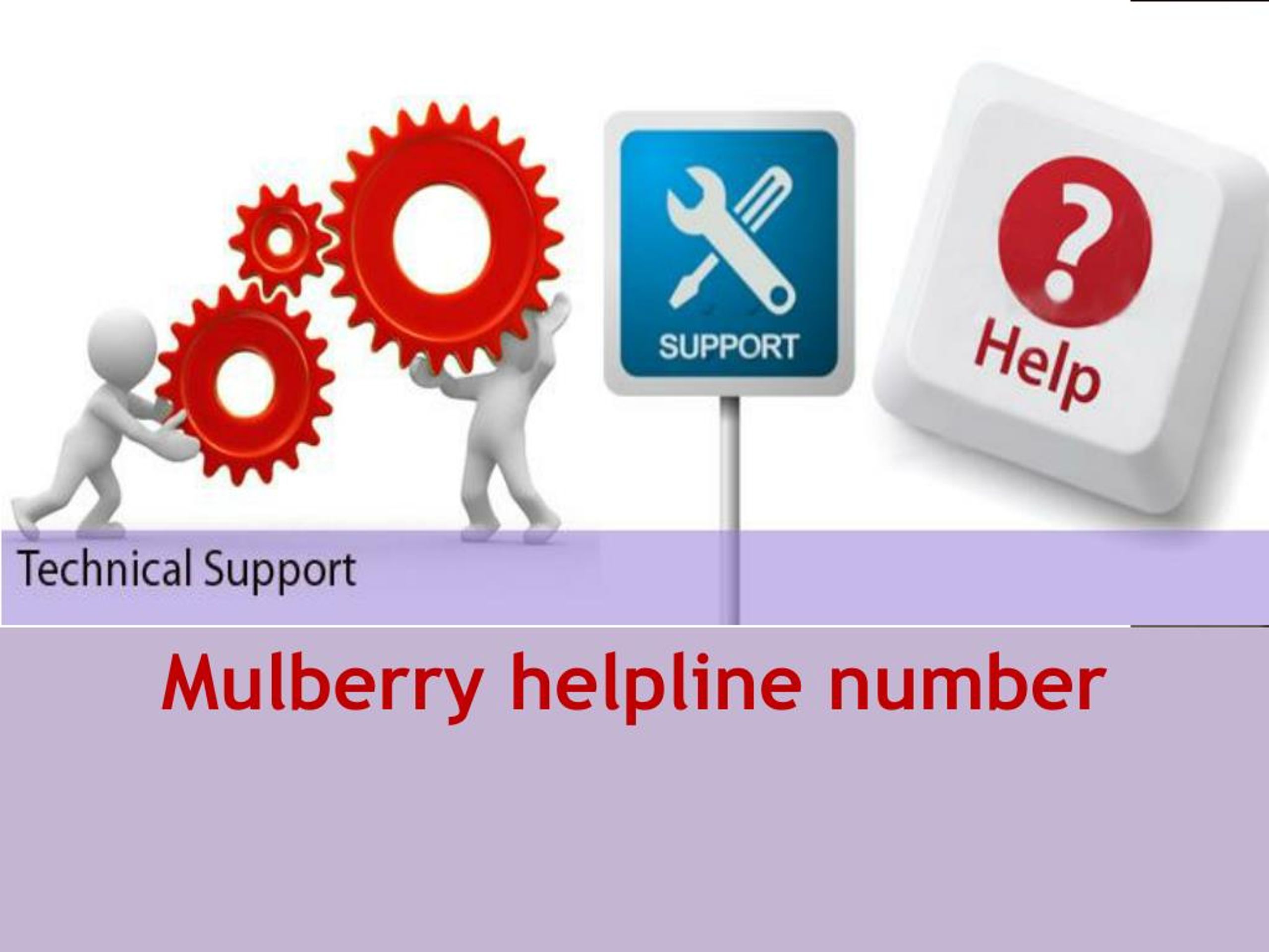 PPT Mulberry email technical support number PowerPoint Presentation