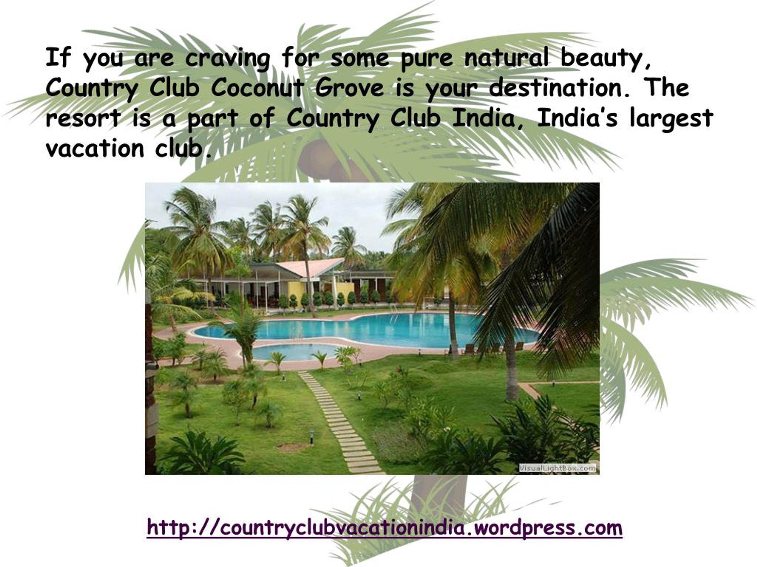 PPT COUNTRY CLUB COCONUT GROVE Leisure Close To Nature PowerPoint