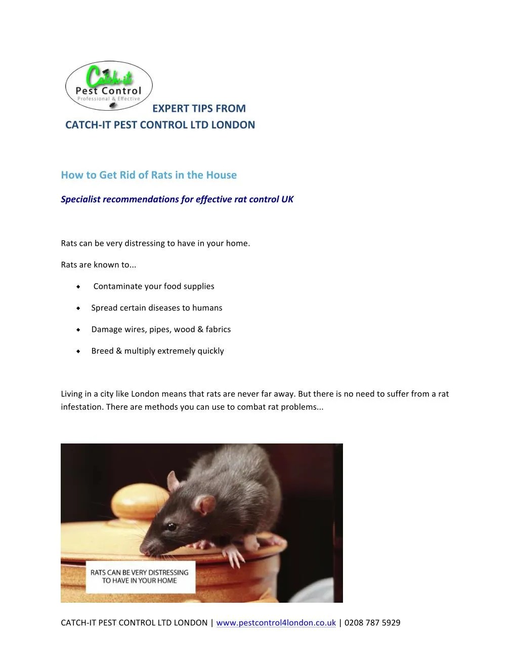 PPT How to Get Rid of Rats in the House PowerPoint Presentation, free
