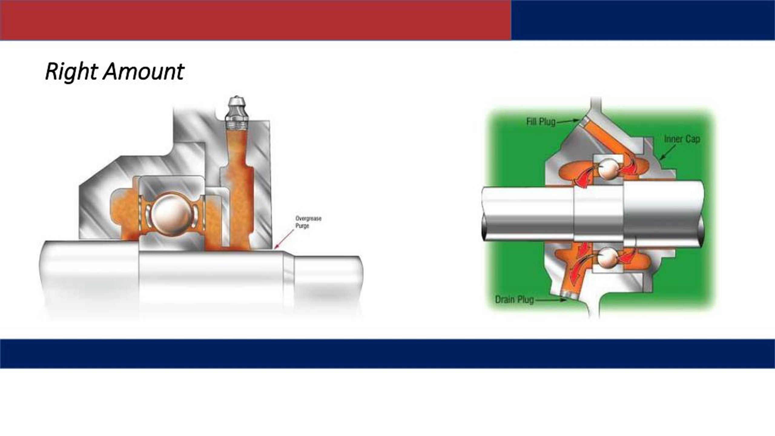 PPT Electric Motor Bearing Lubrication PowerPoint Presentation, free