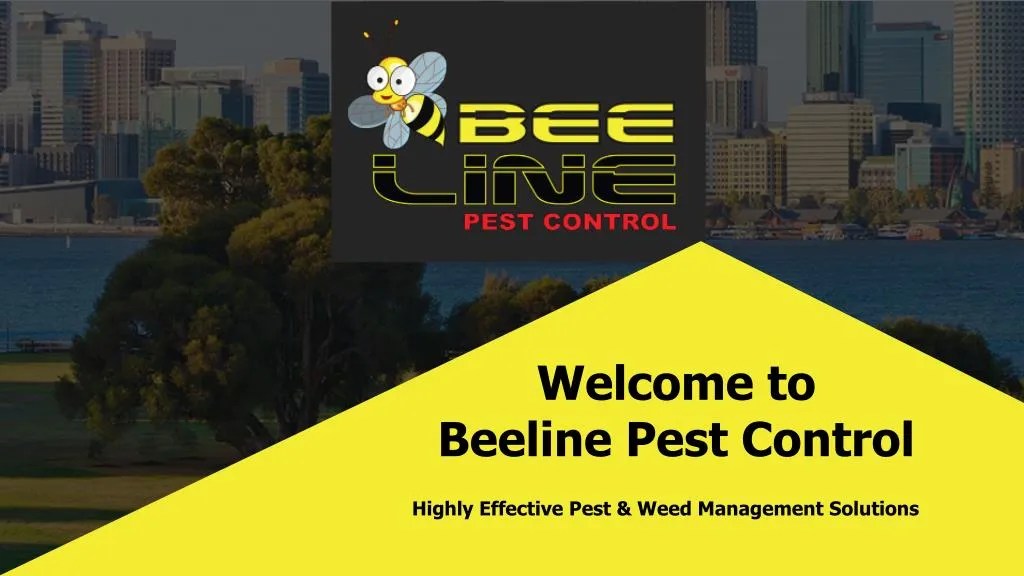 PPT Beeline Pest Control PowerPoint Presentation, free download ID