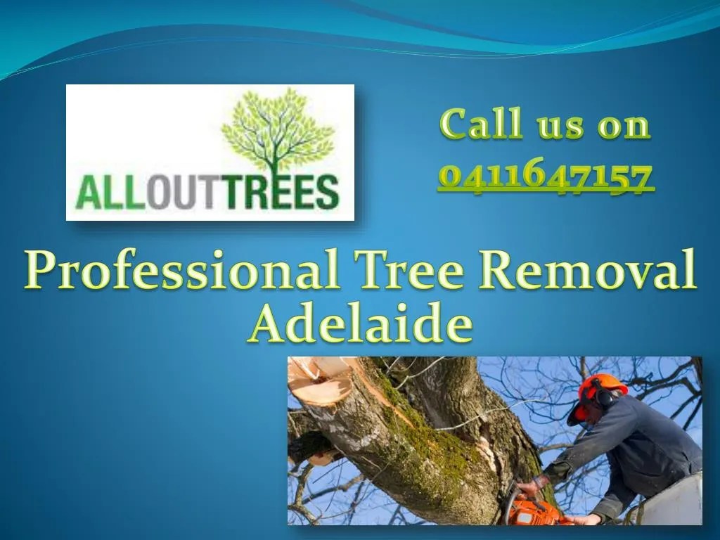 PPT Affordable Tree Removal Adelaide PowerPoint Presentation, free