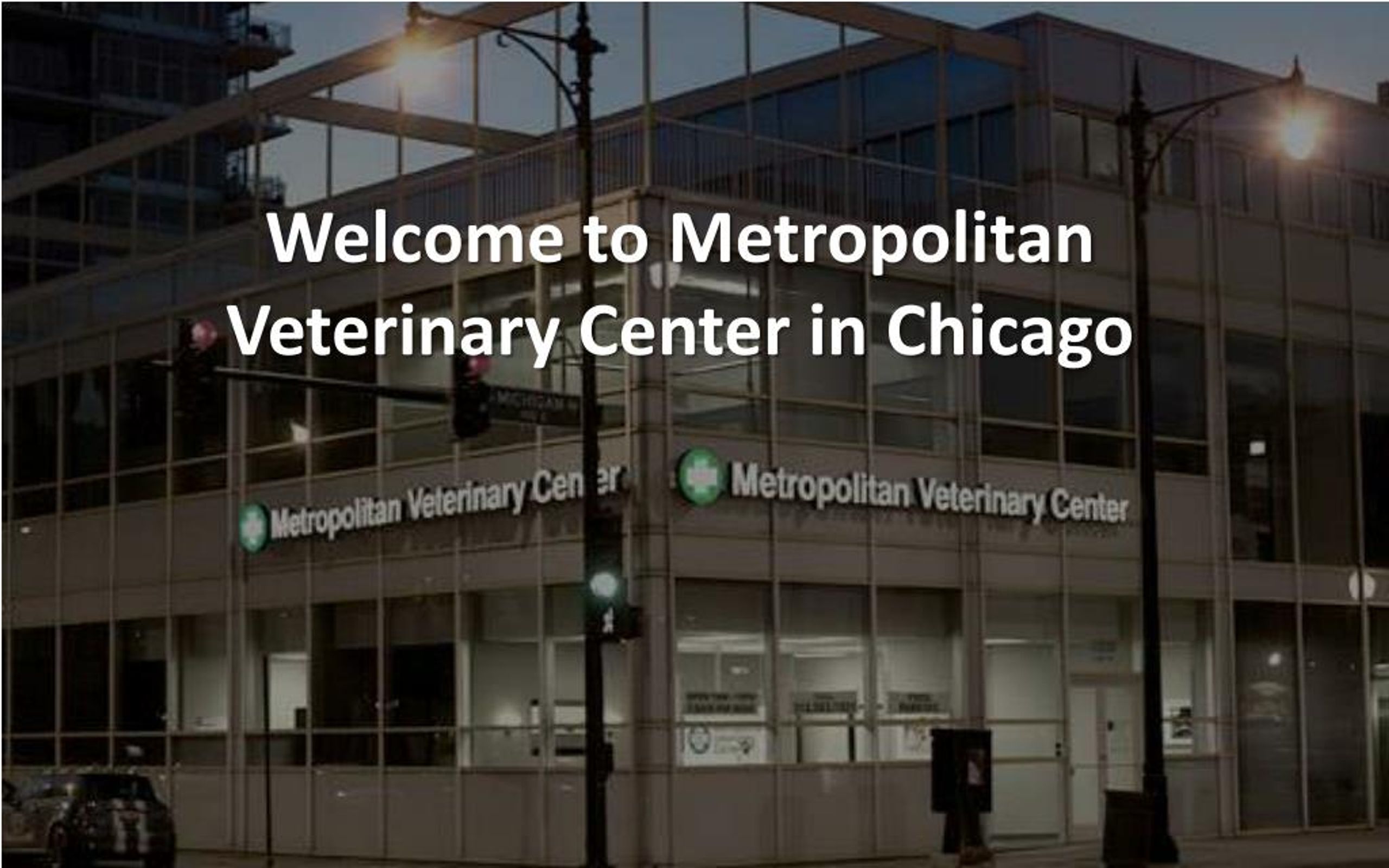 PPT Chicago's Trusted Veterinary Hospital Metropolitan Veterinary