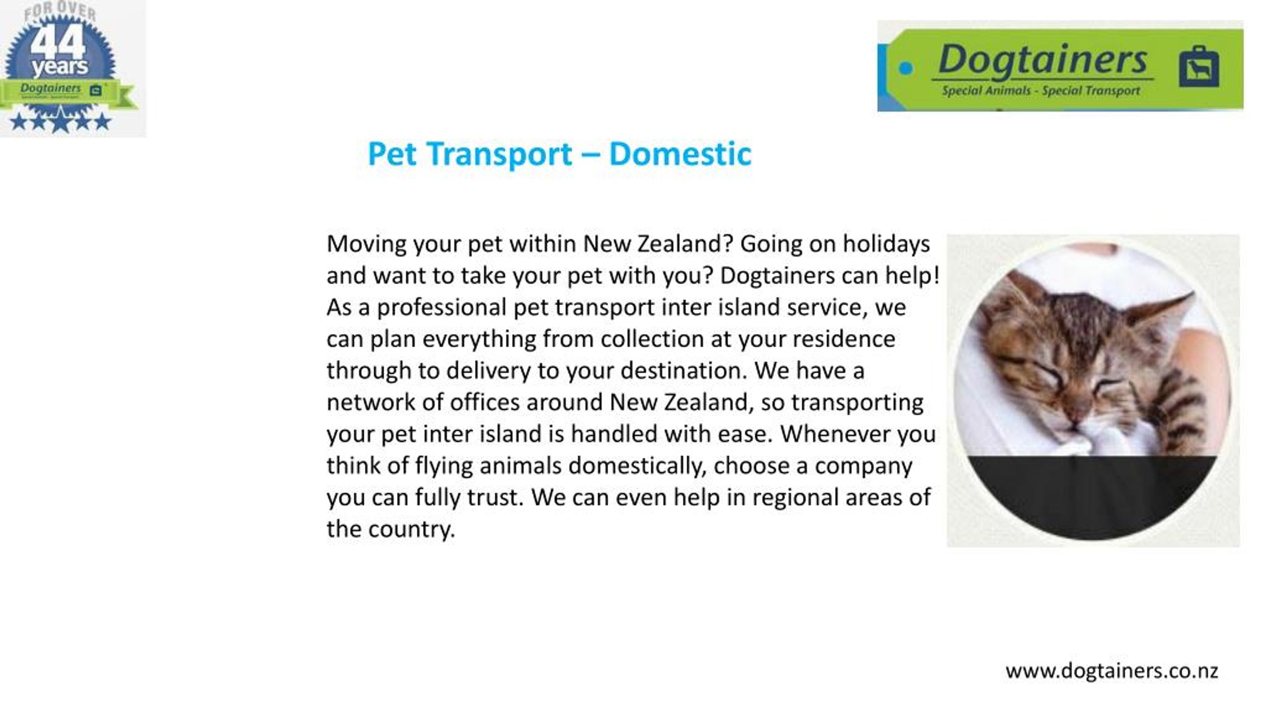PPT Animal Travel Services PowerPoint Presentation, free download